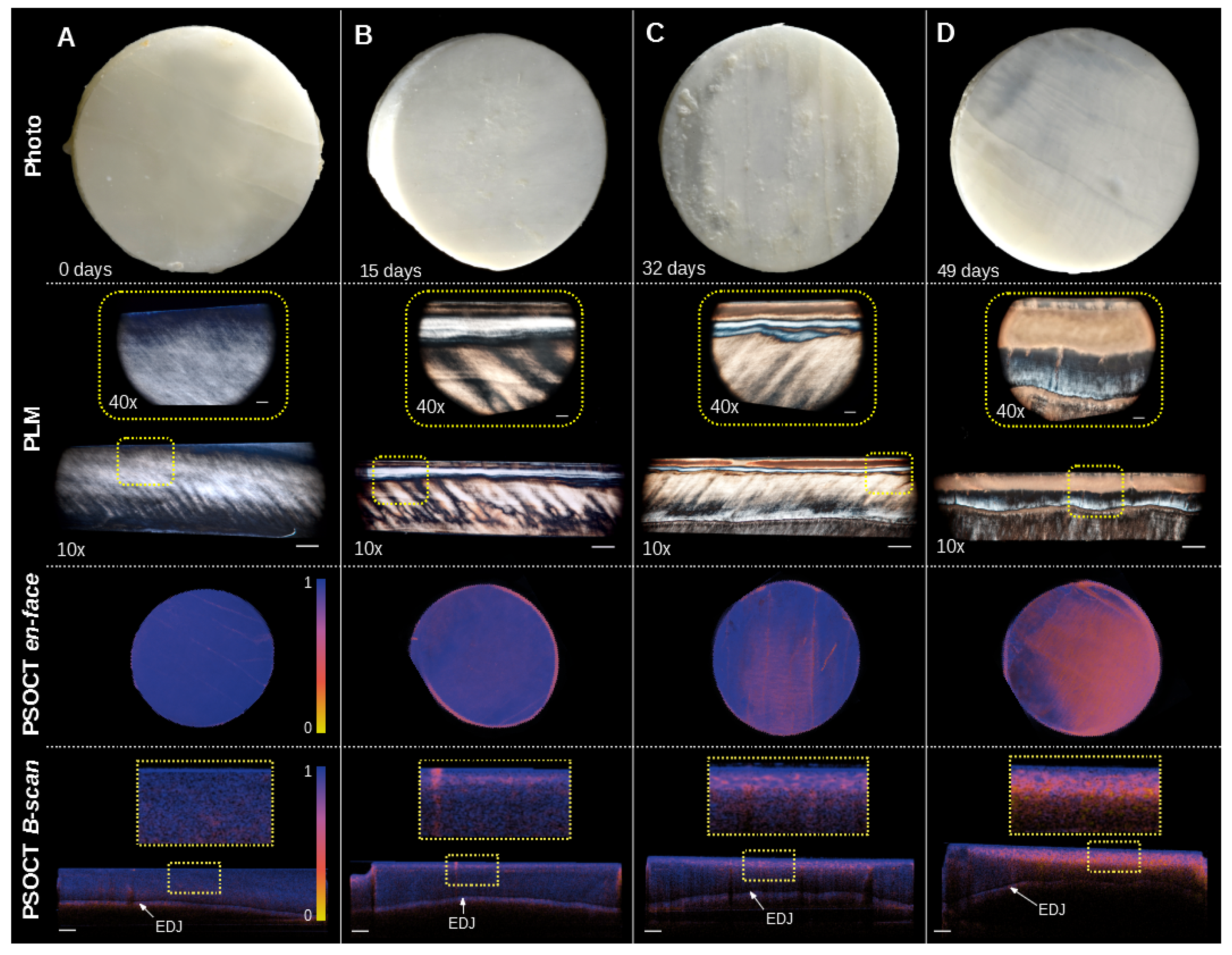 Applsci 10 02971 g002