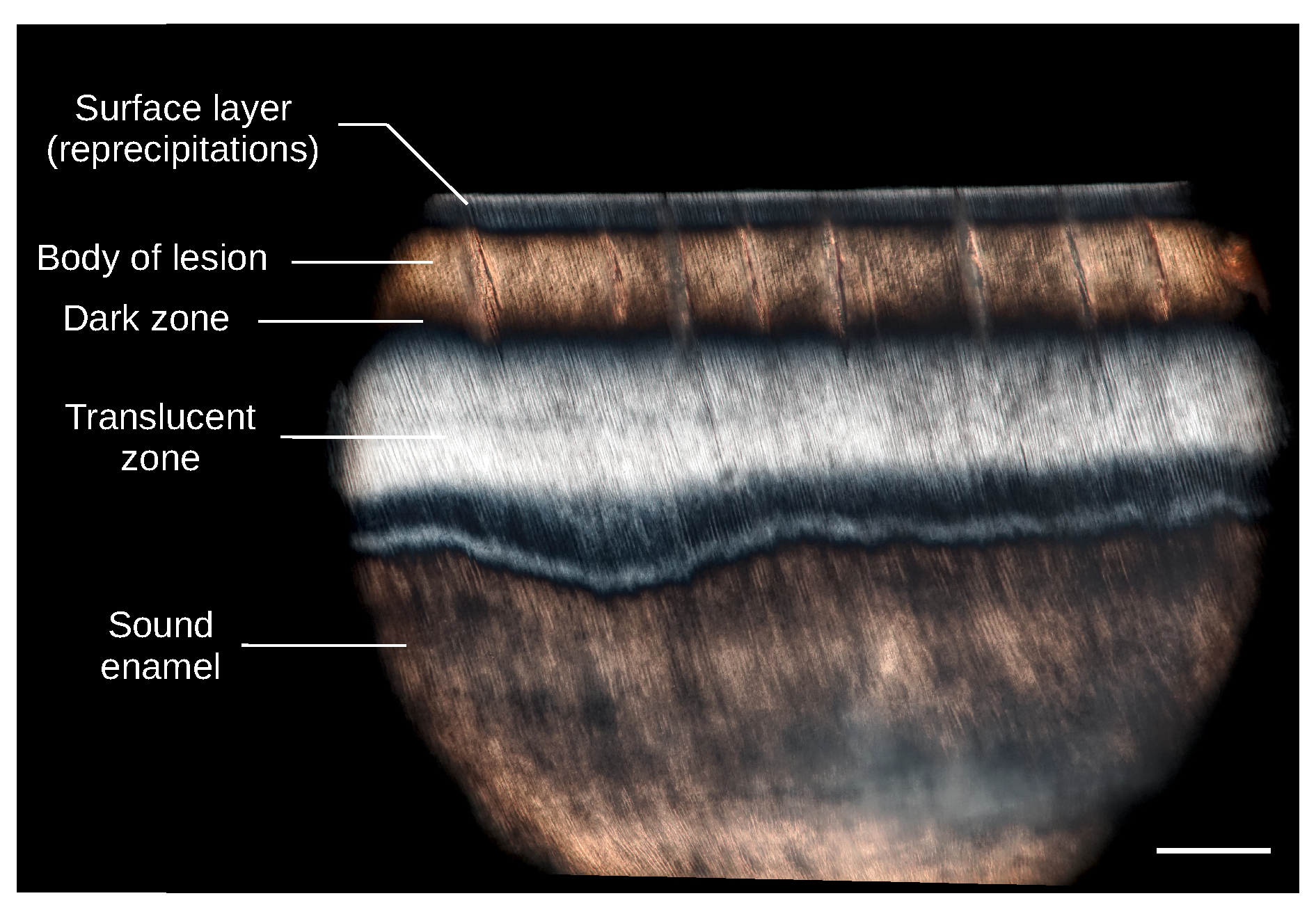 Applsci 10 02971 g003