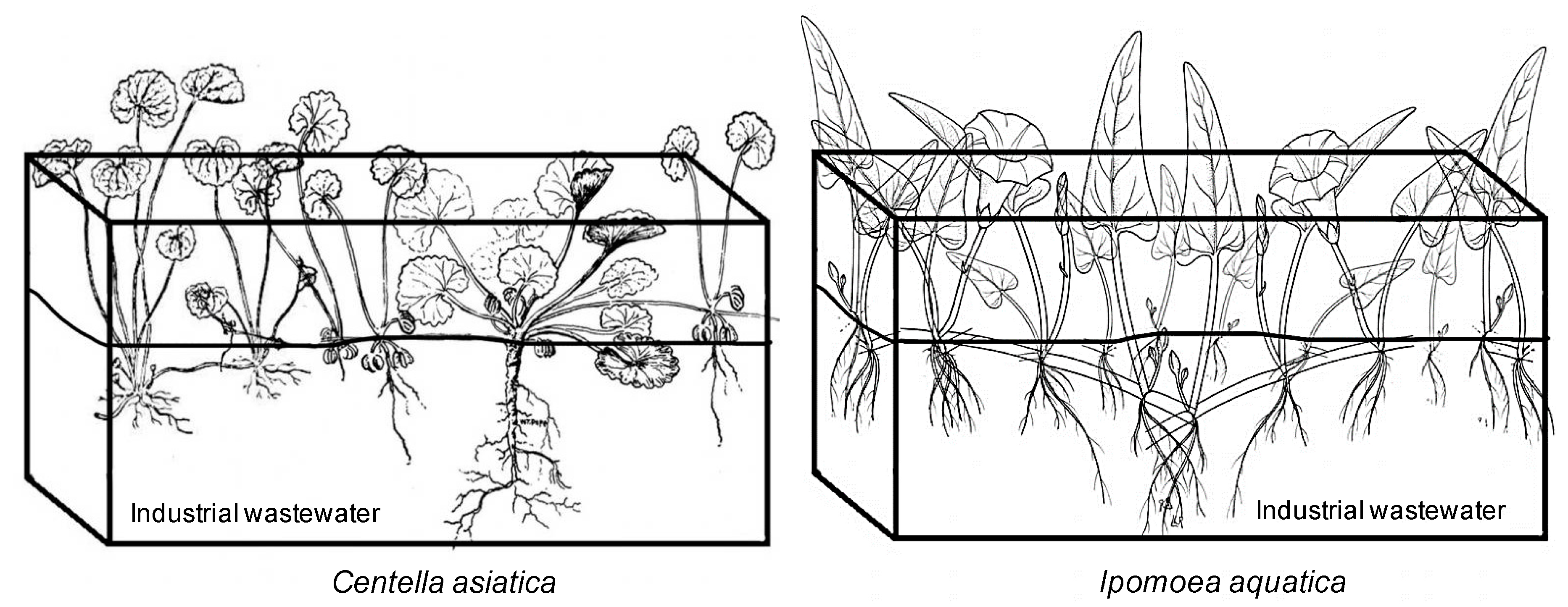Applsci 10 03064 g001