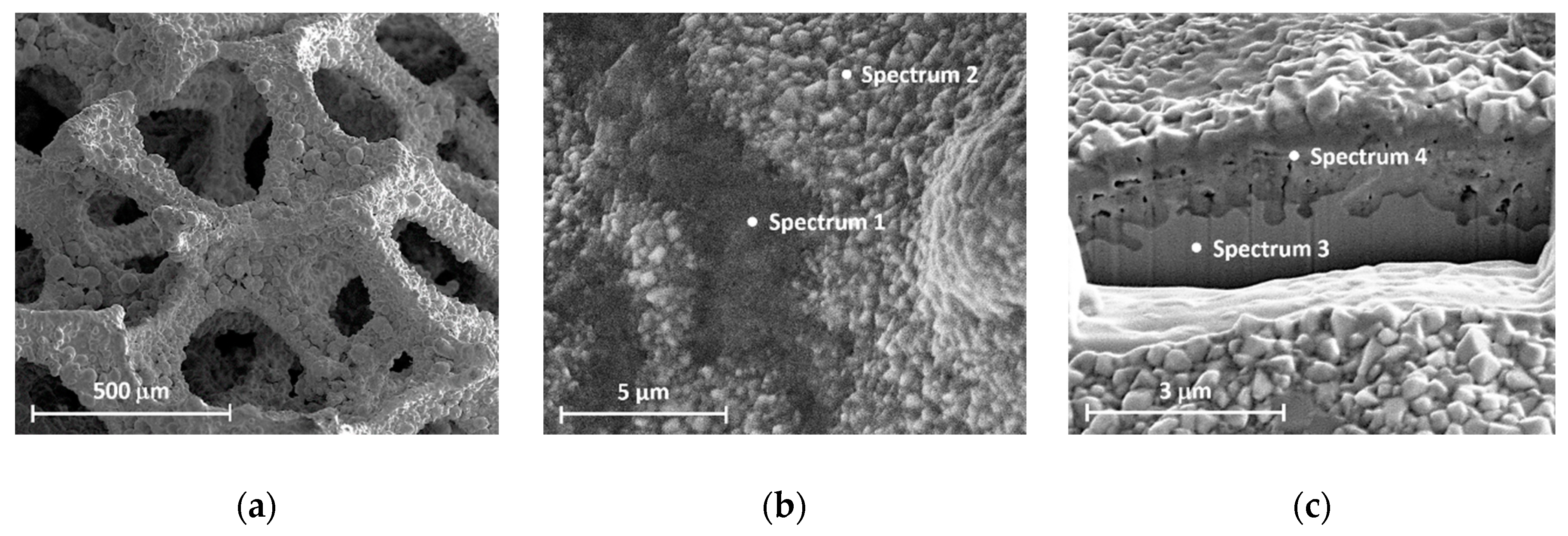 Applsci 10 03083 g002