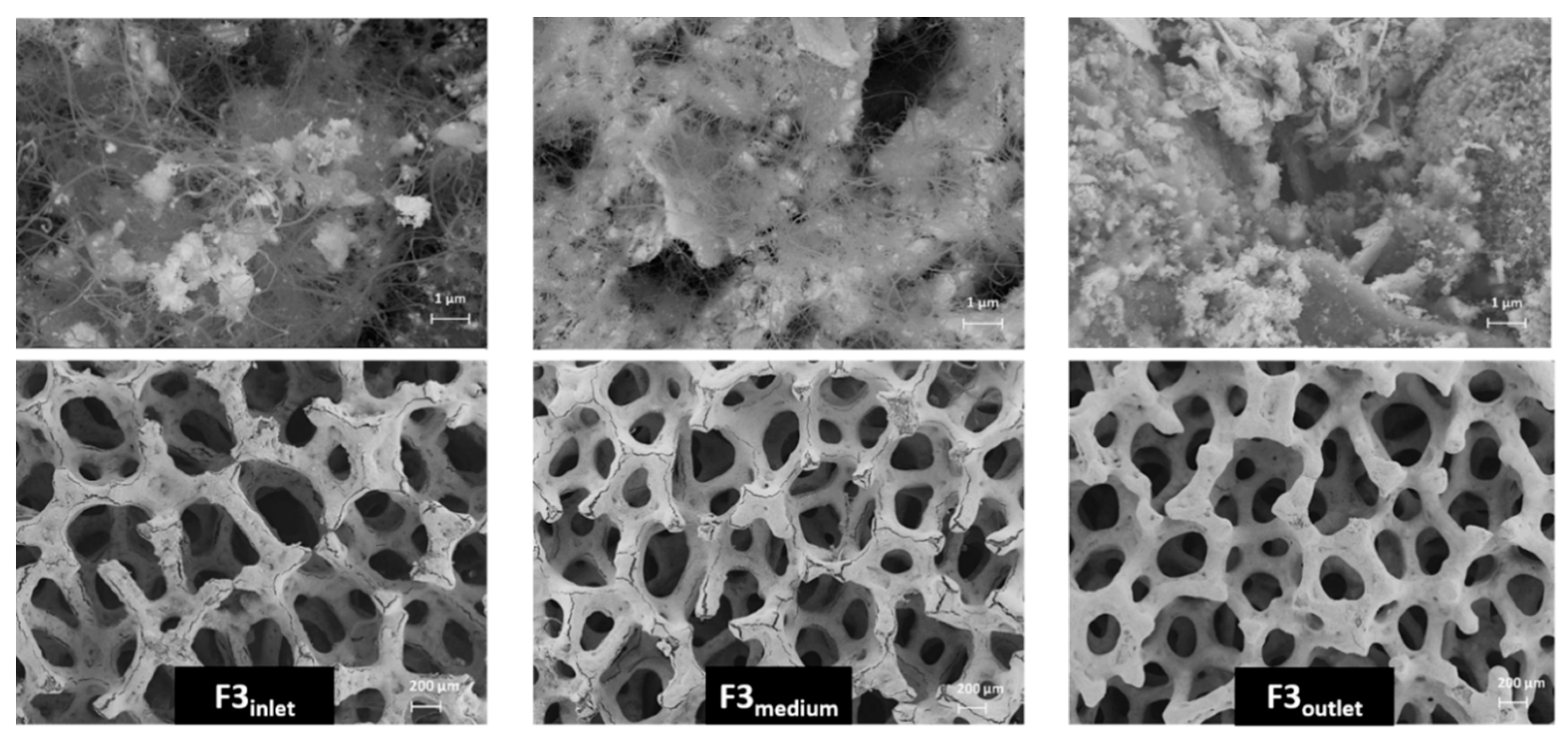 Applsci 10 03083 g009