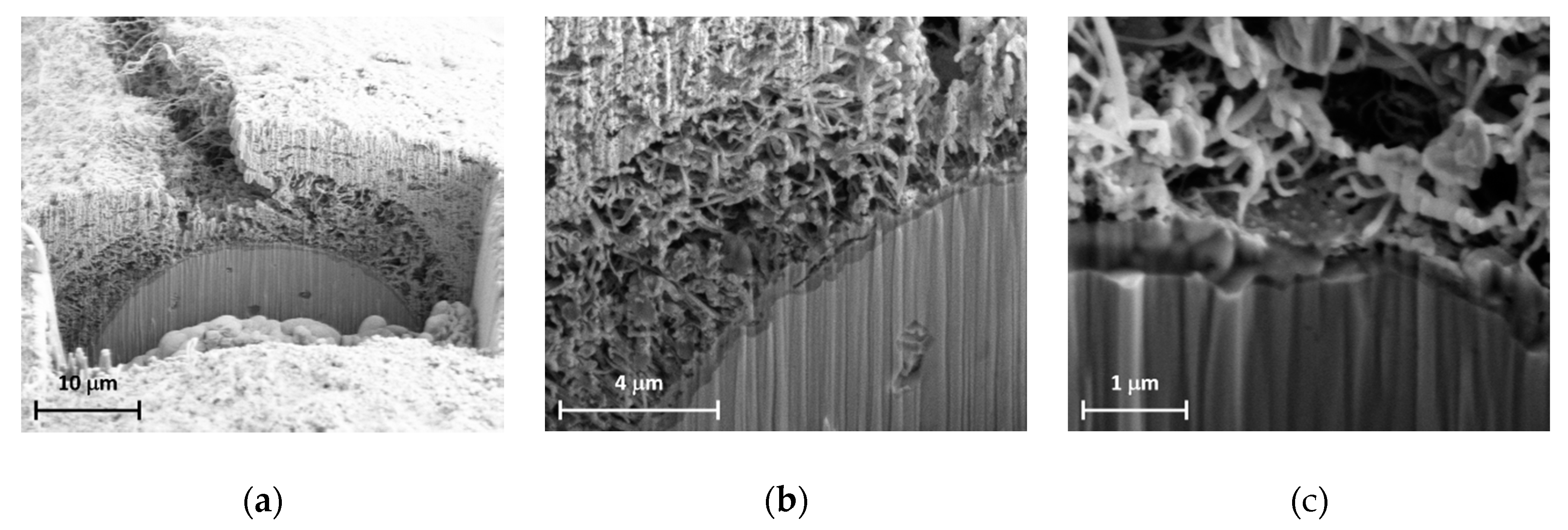 Applsci 10 03083 g010