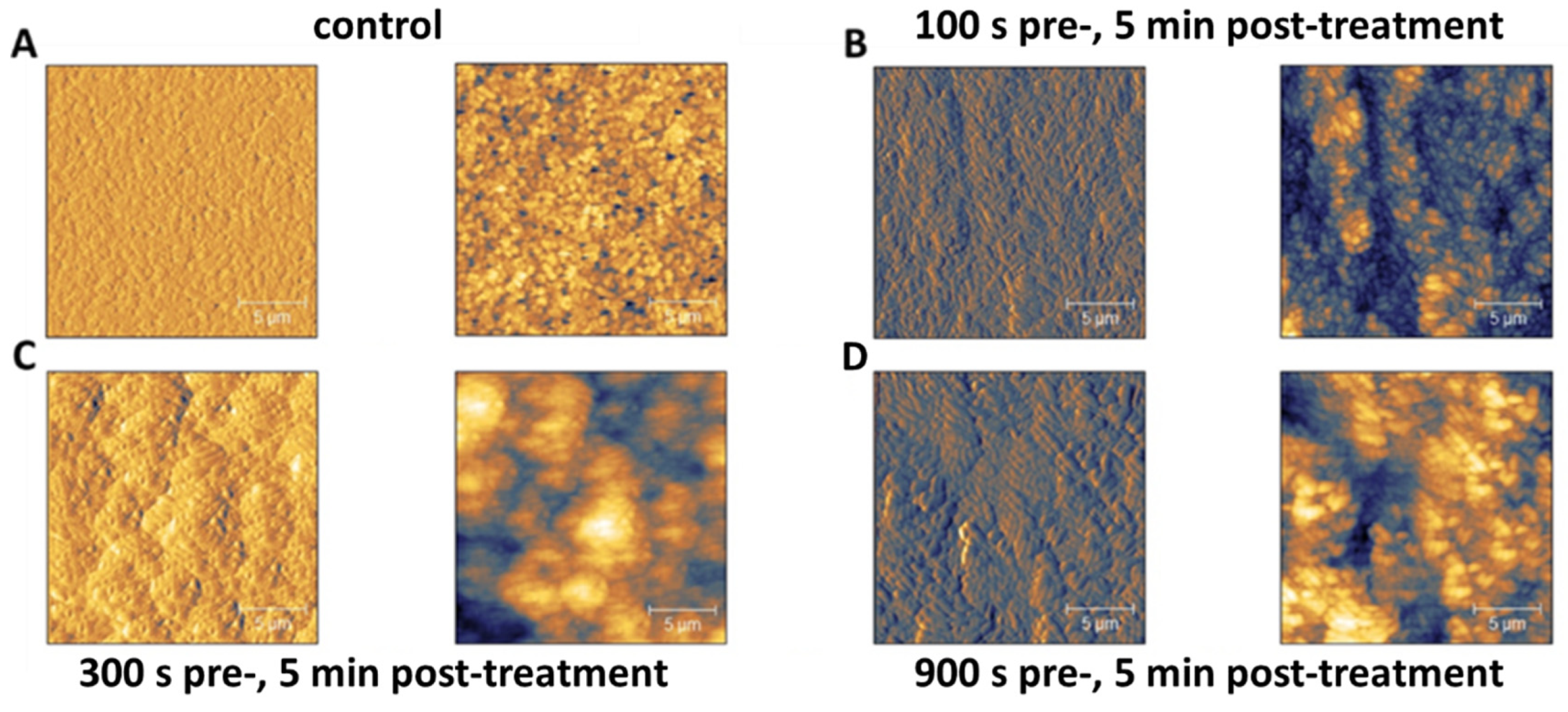 Applsci 10 03118 g006