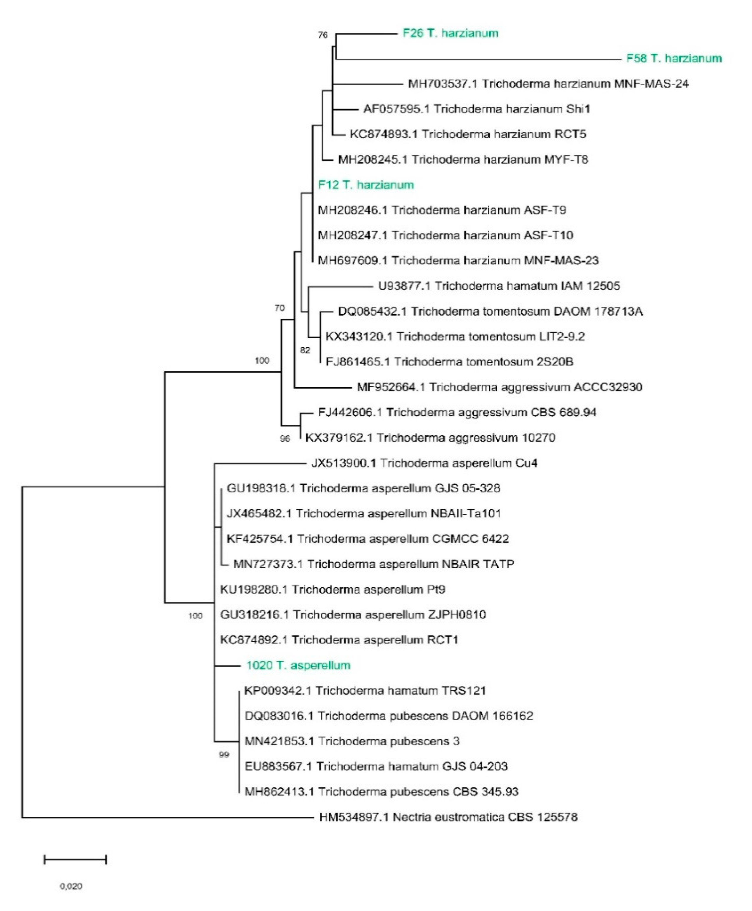 Applsci 10 03152 g001