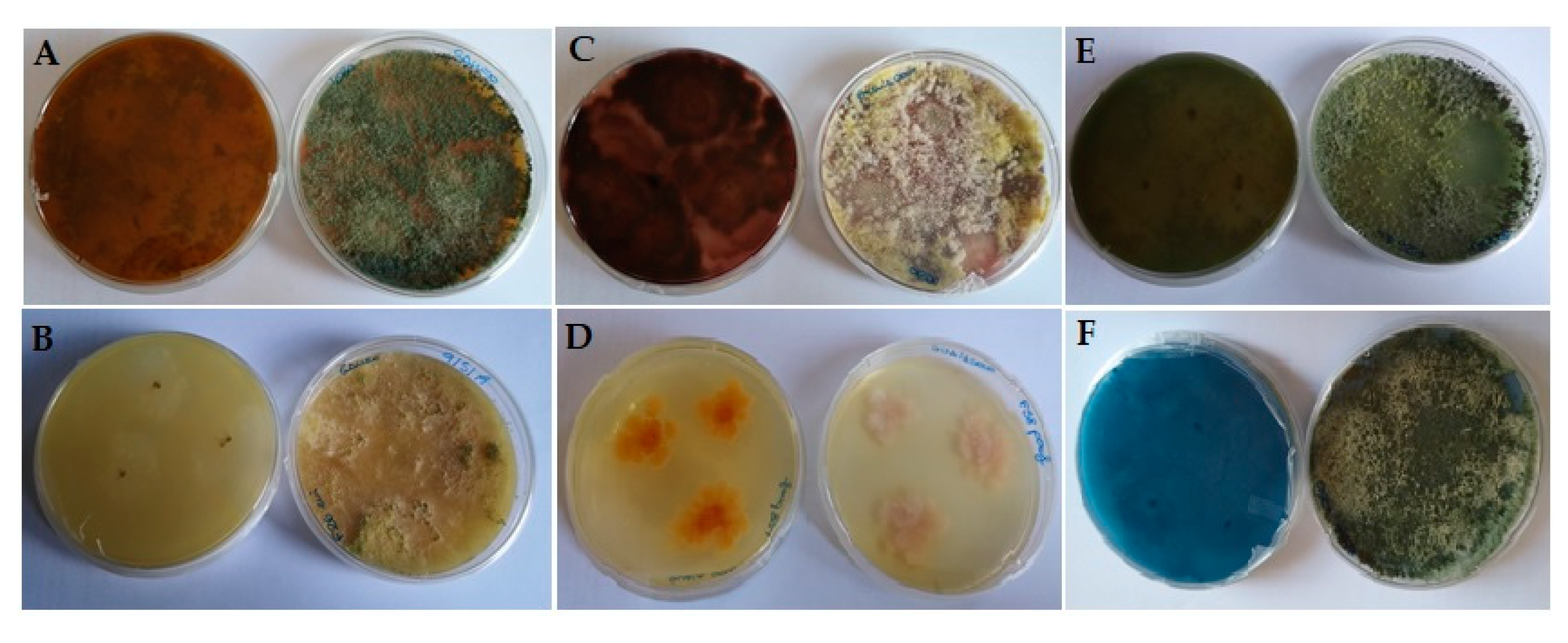 Applsci 10 03152 g006