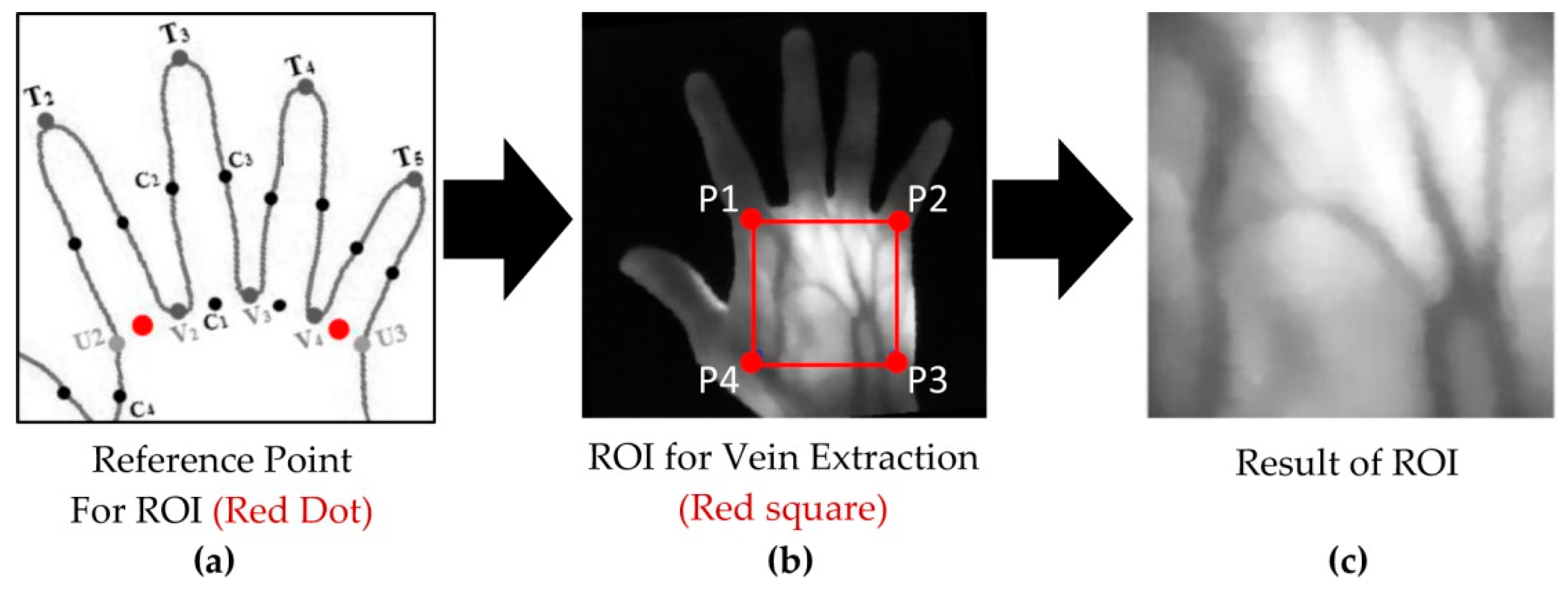 Applsci 10 03192 g008 Applsci 10 03192 g008