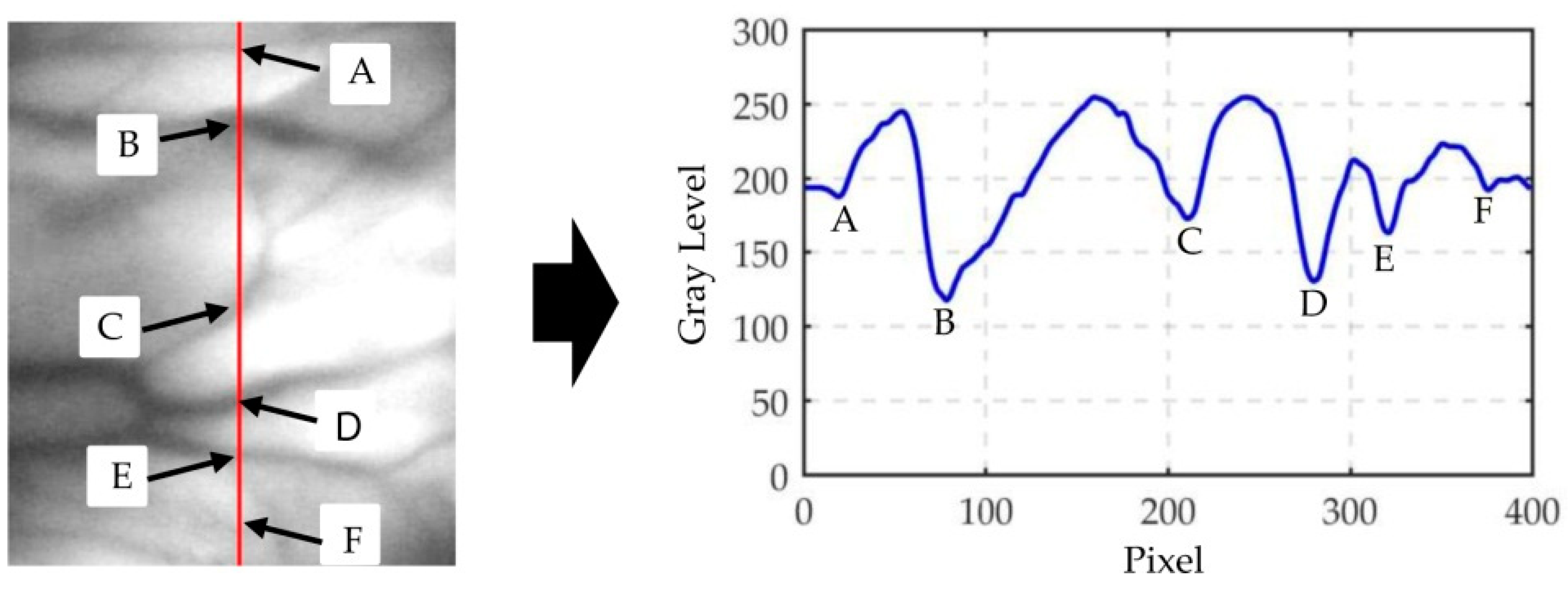 Applsci 10 03192 g010 Applsci 10 03192 g010