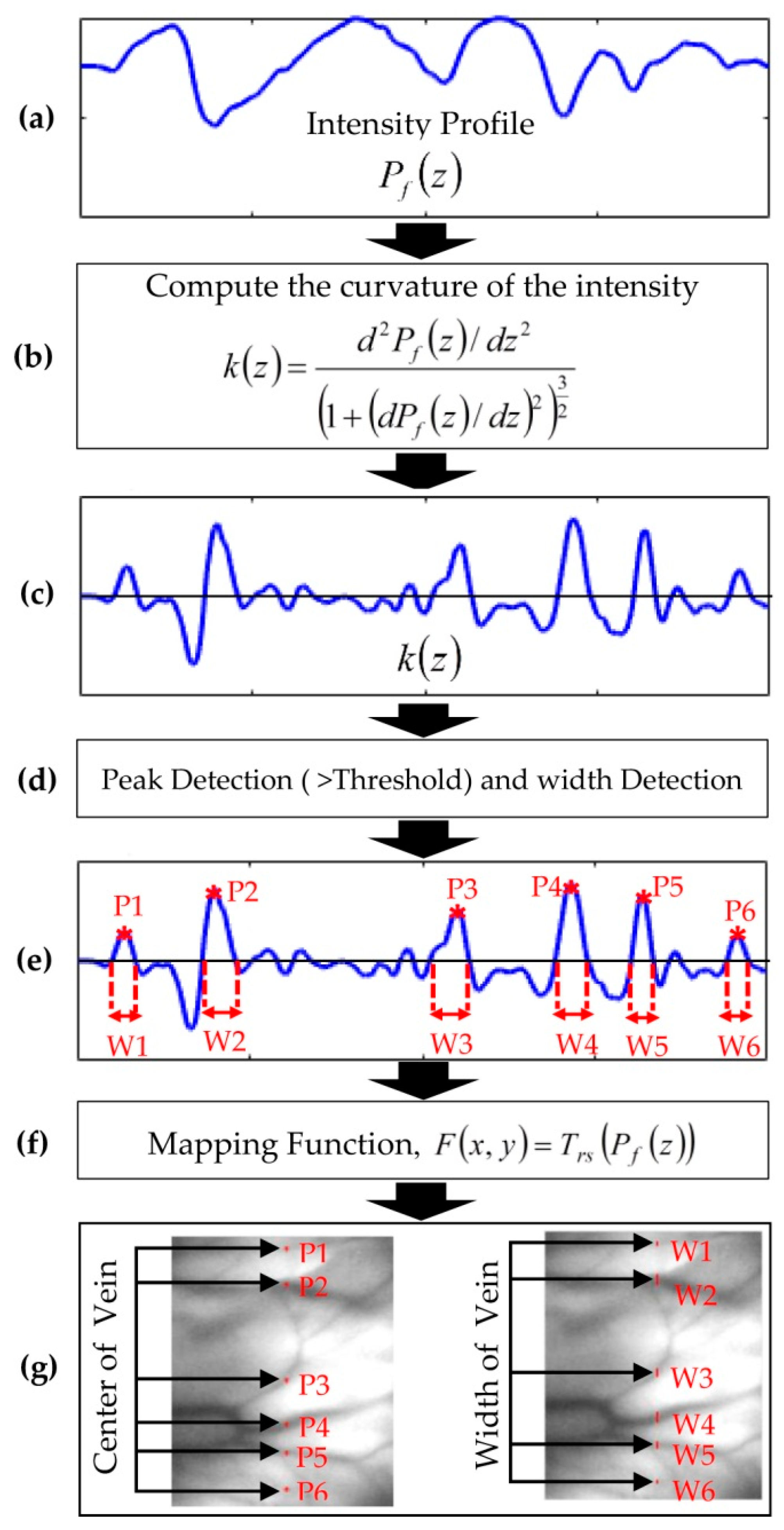 Applsci 10 03192 g011 Applsci 10 03192 g011