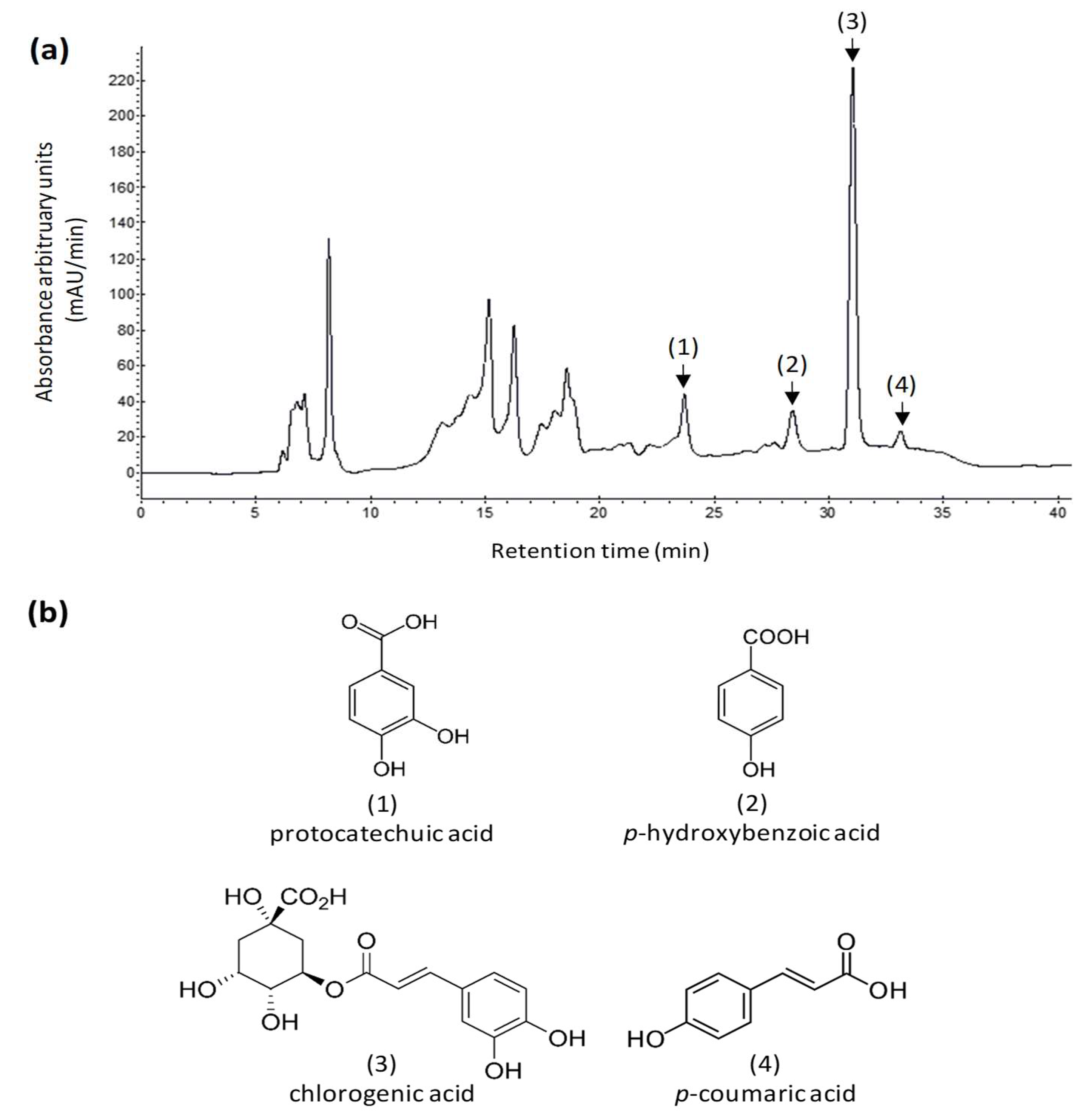 Applsci 10 03313 g004