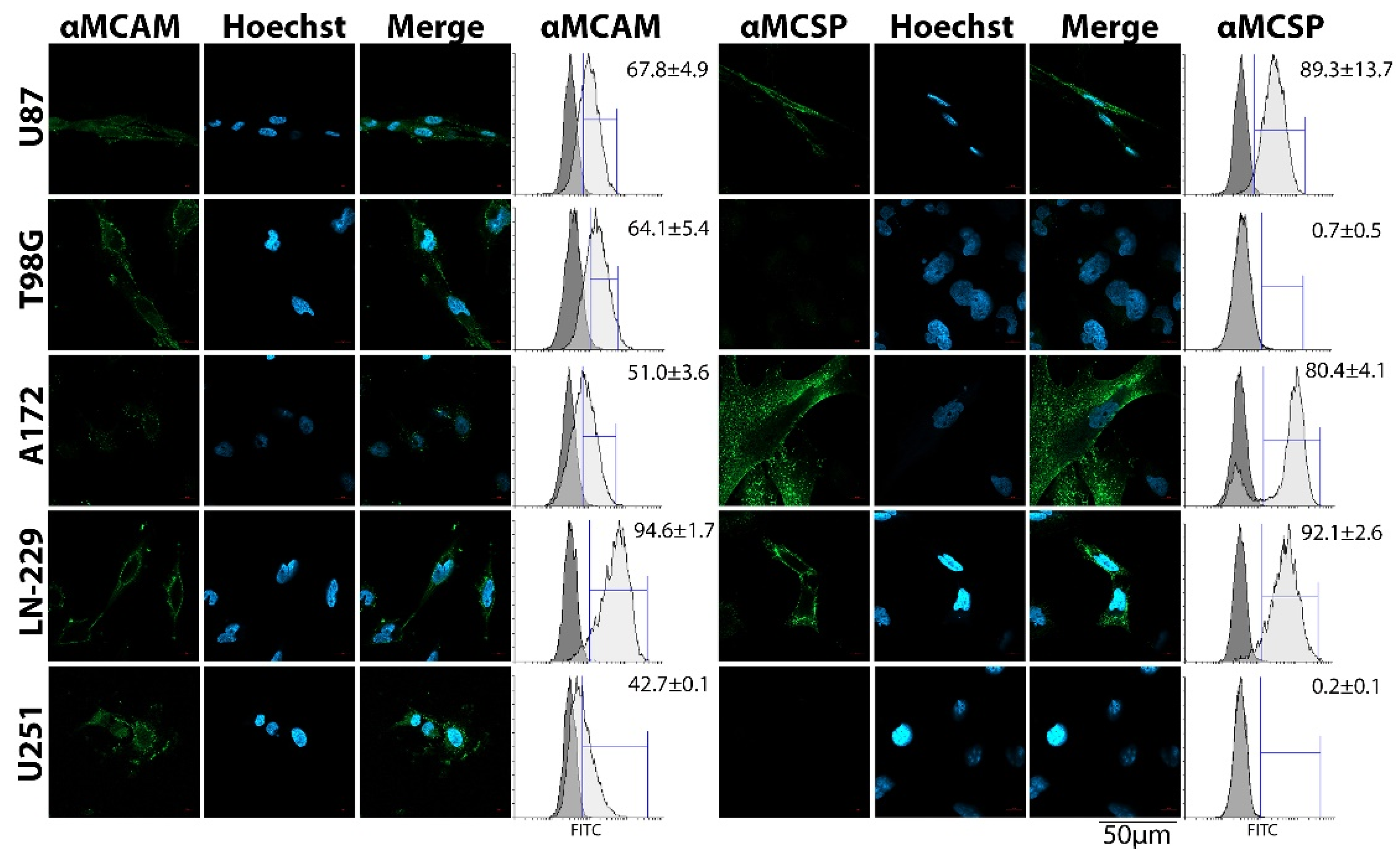 Applsci 10 03338 g001