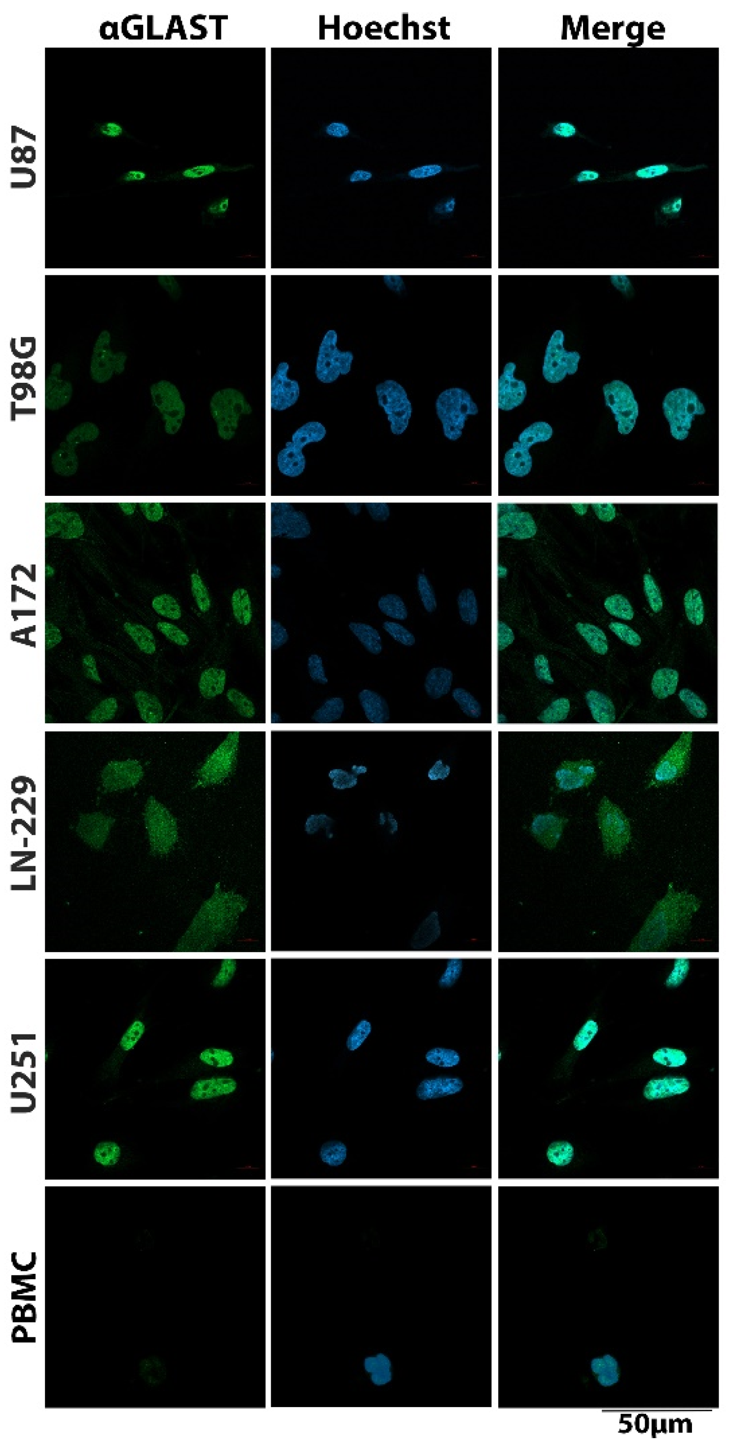 Applsci 10 03338 g002