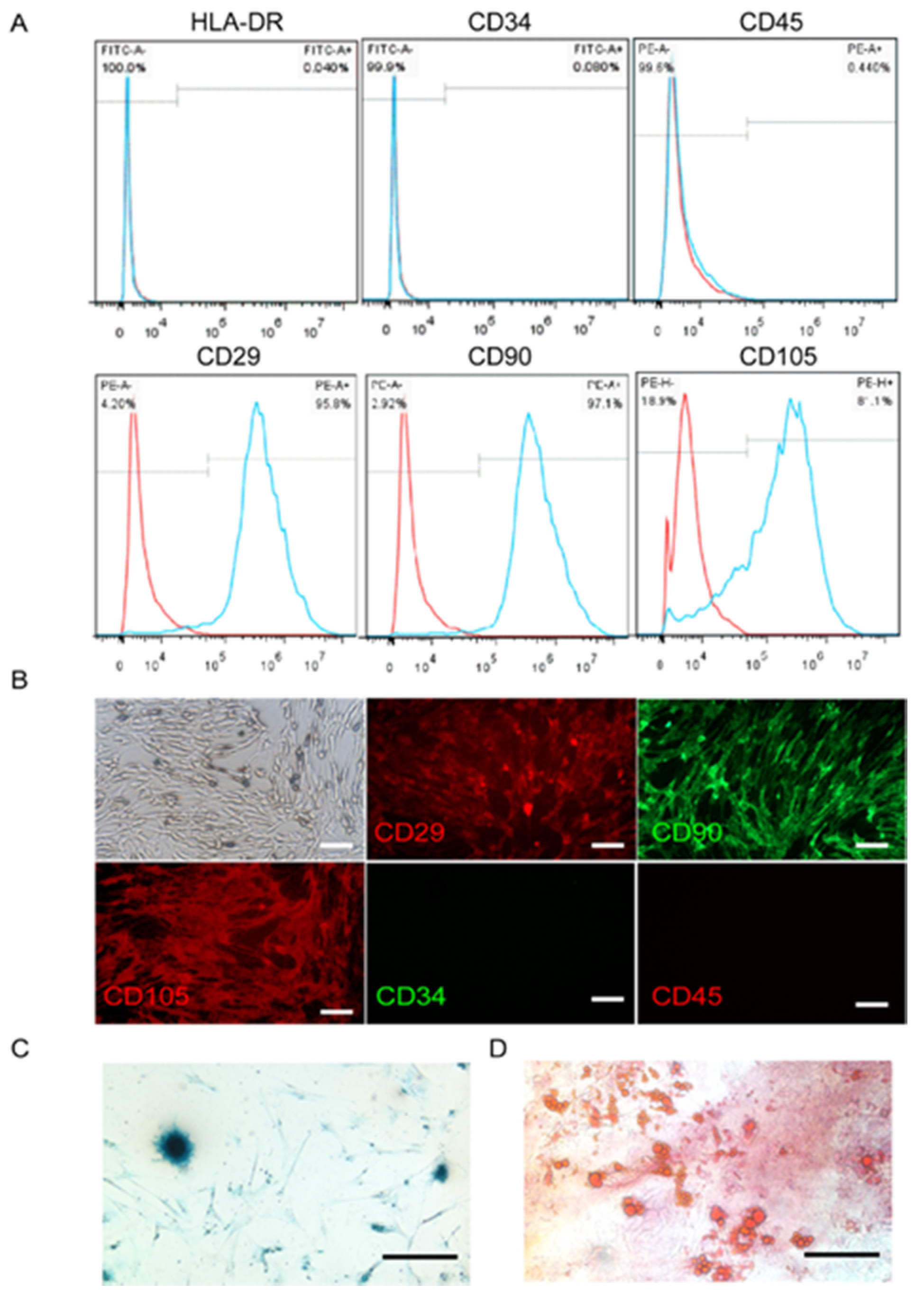 Applsci 10 03598 g001