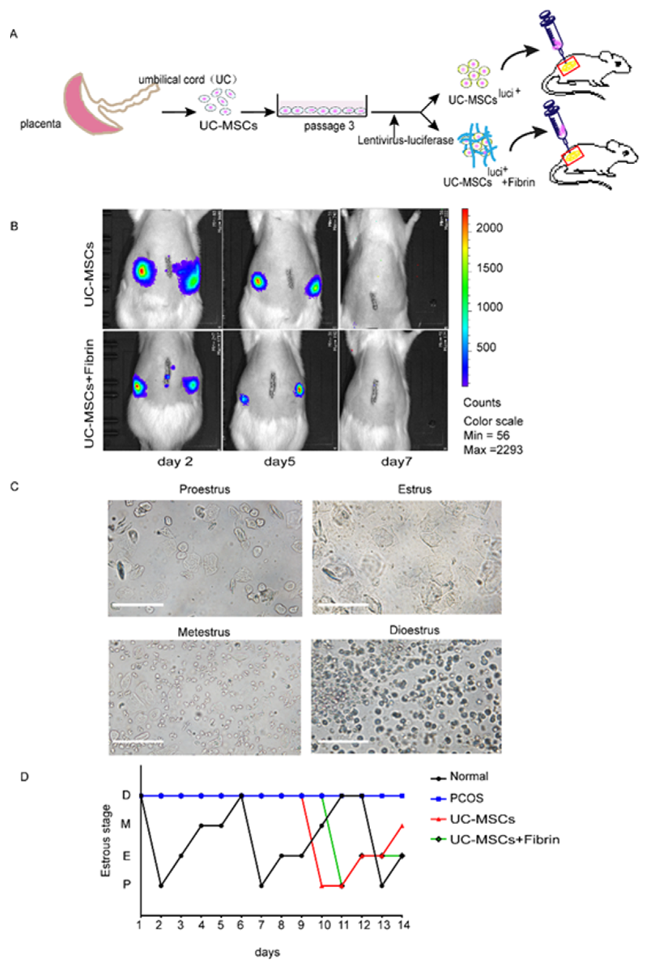 Applsci 10 03598 g003