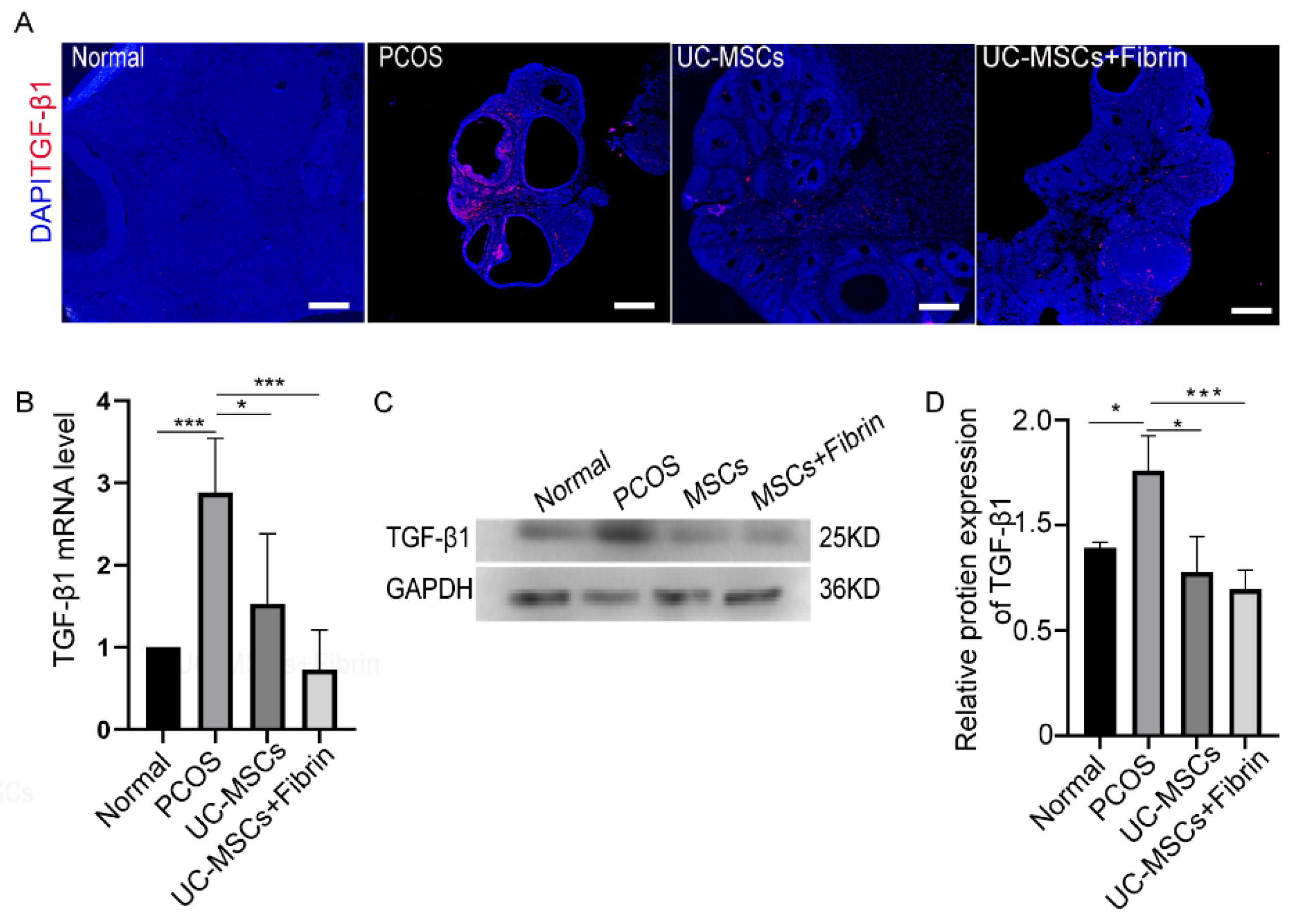 Applsci 10 03598 g006