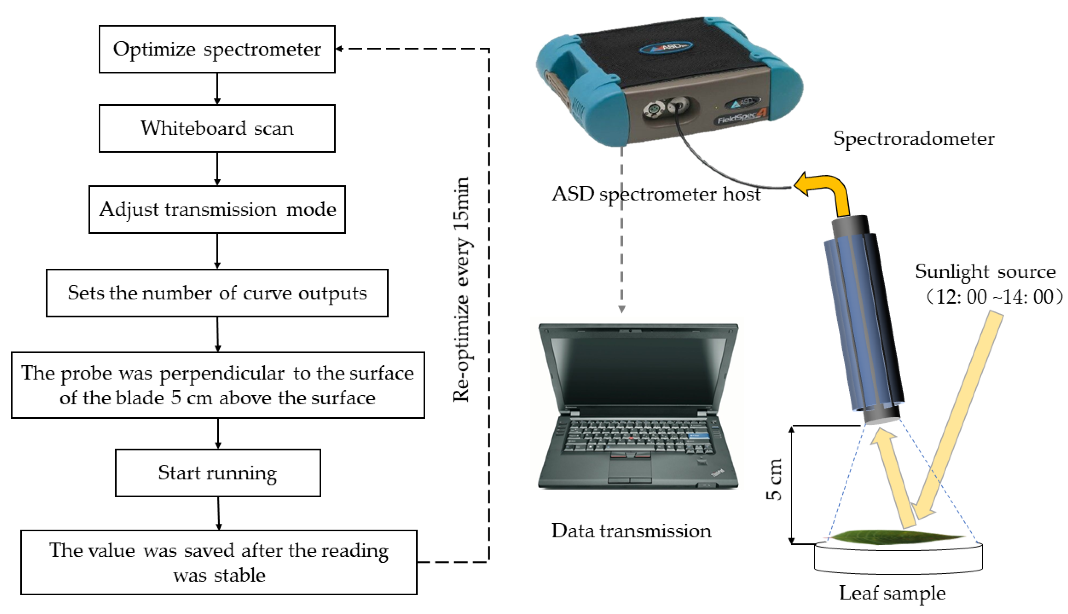 Applsci 10 03636 g001
