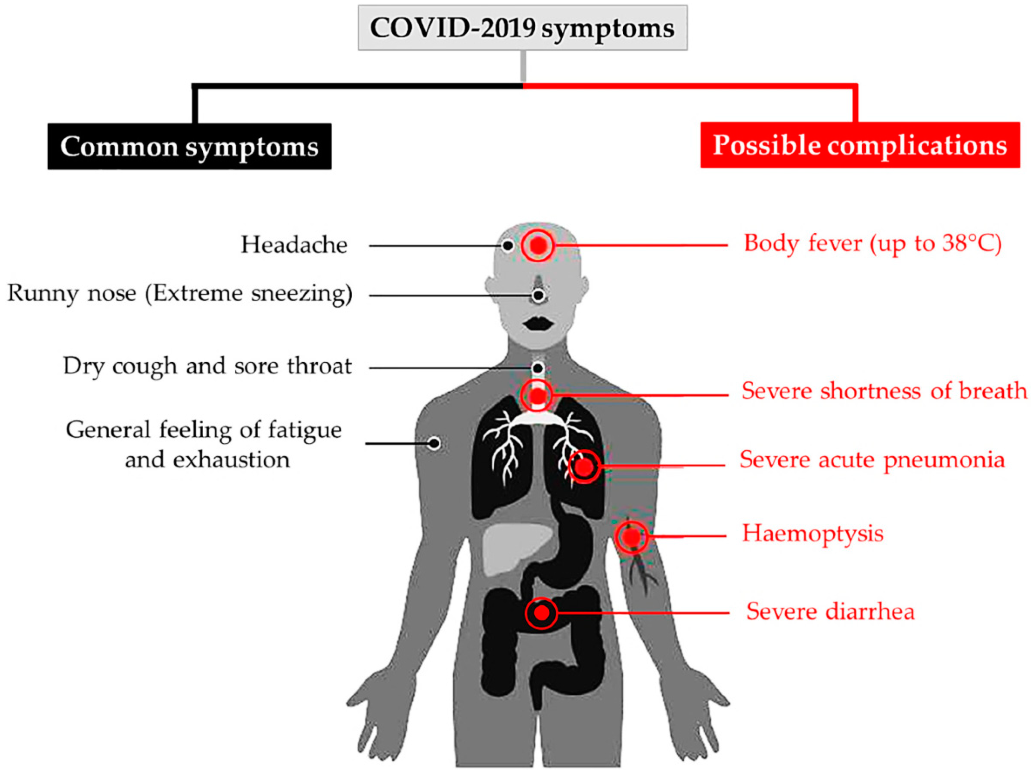 Applsci 10 03641 g002