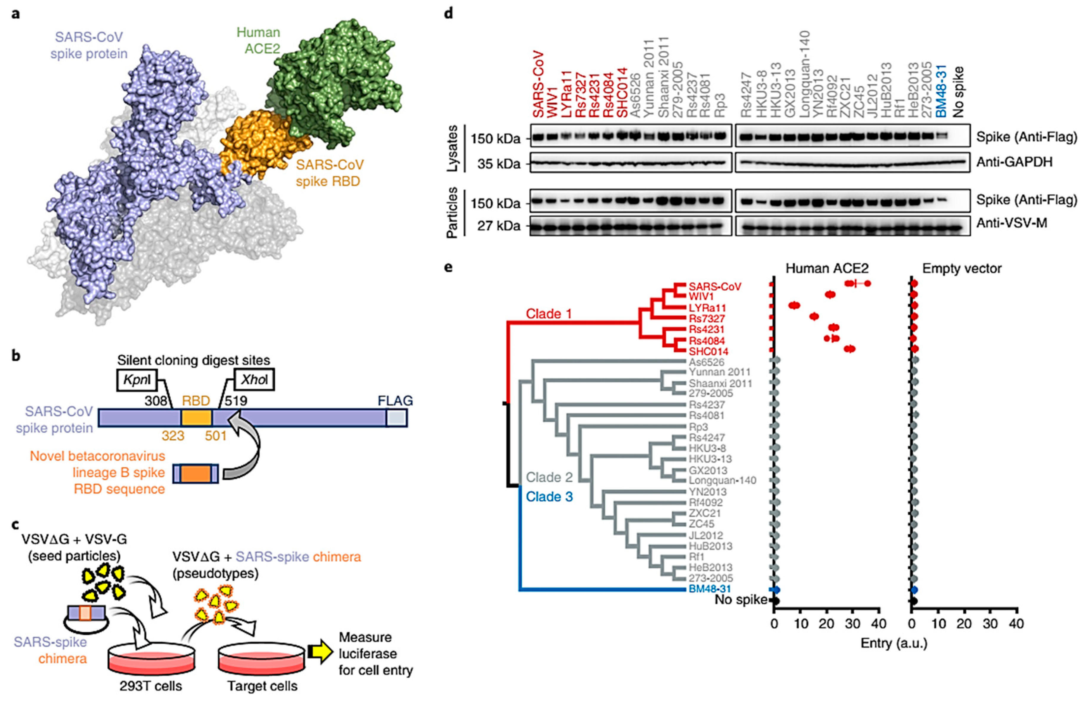 Applsci 10 03641 g004