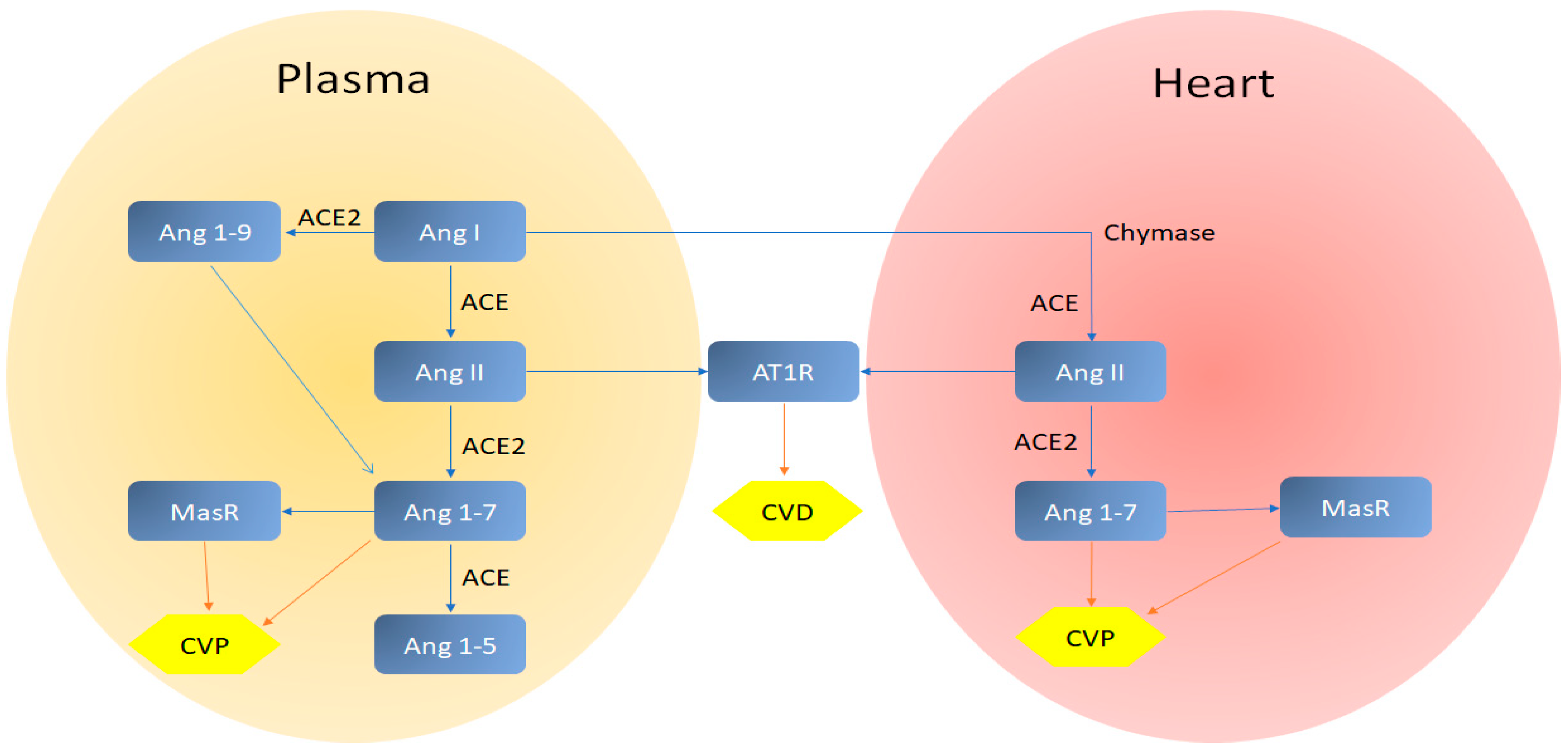 Applsci 10 03641 g012