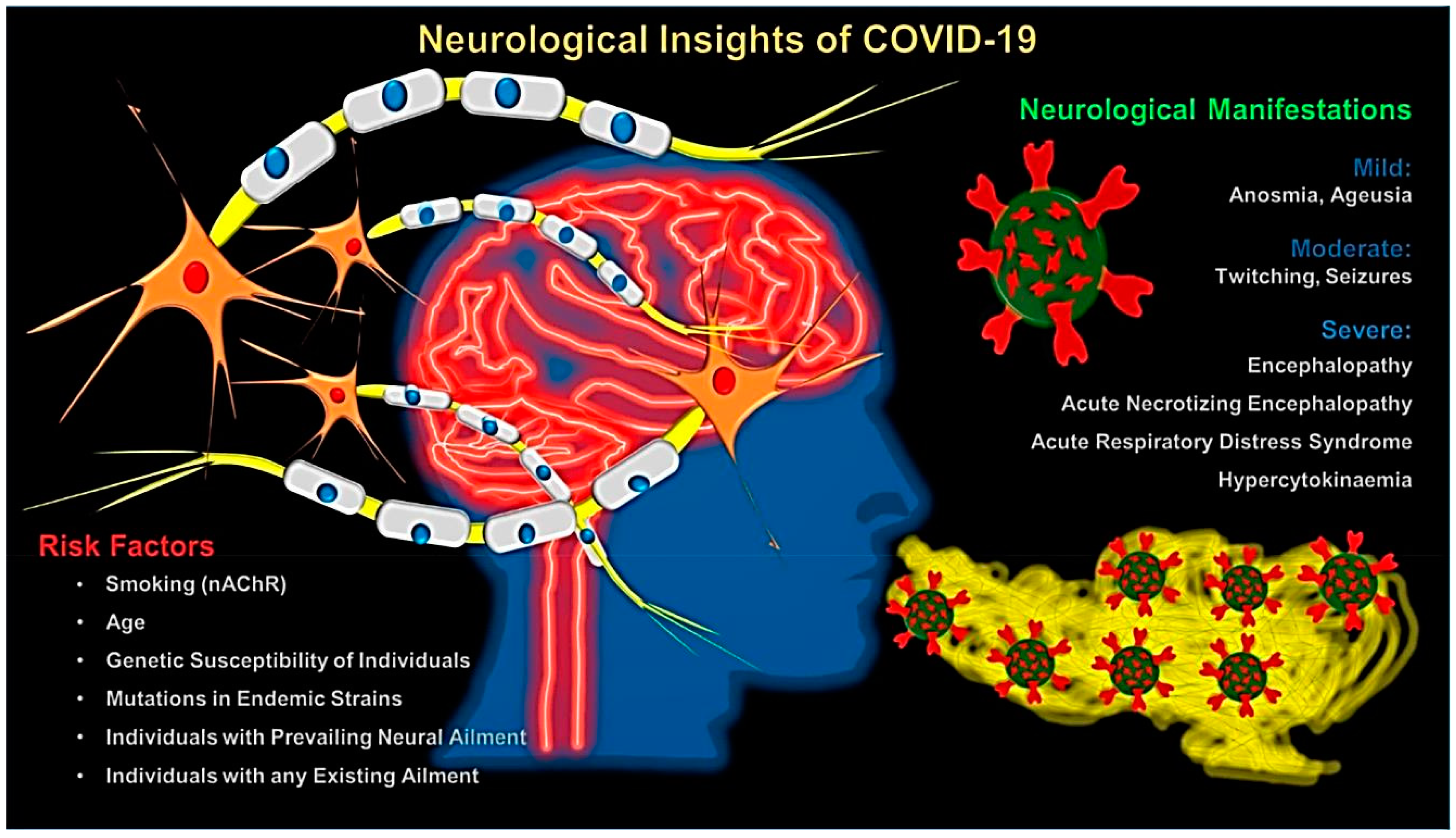 Applsci 10 03641 g013
