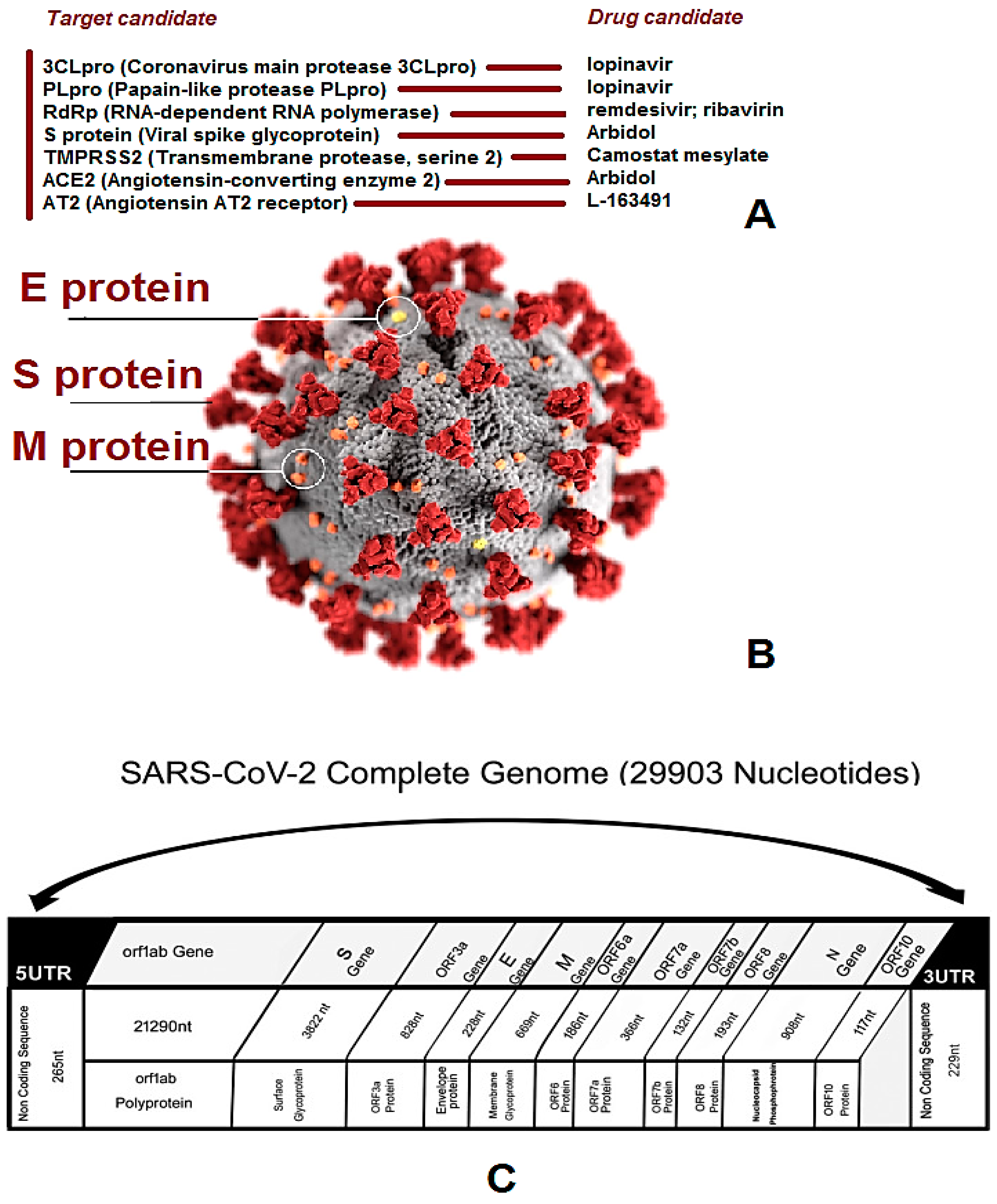 Applsci 10 03641 g014