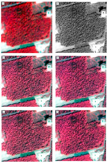 Applsci 10 03673 g0a1