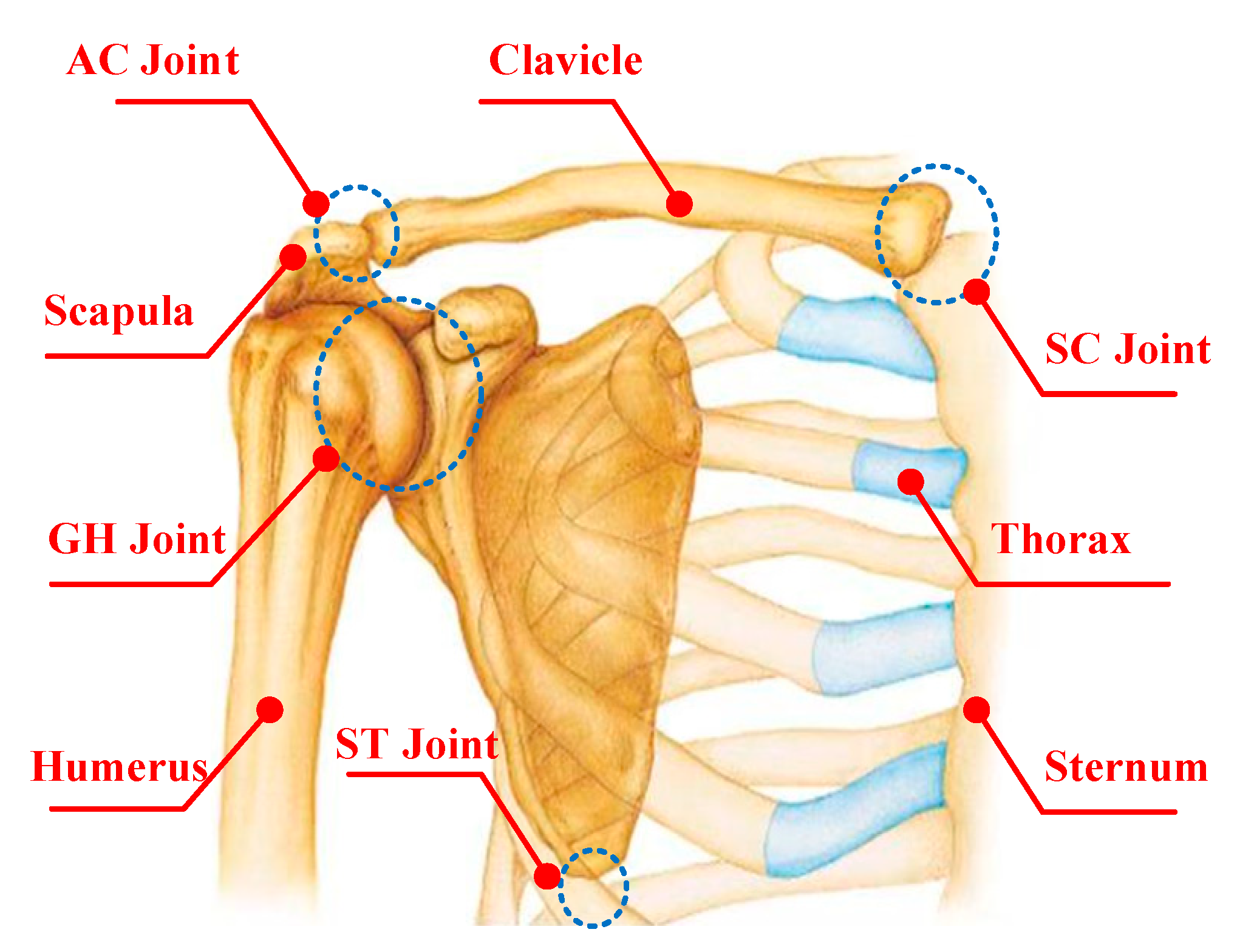 Applsci 10 03696 g001