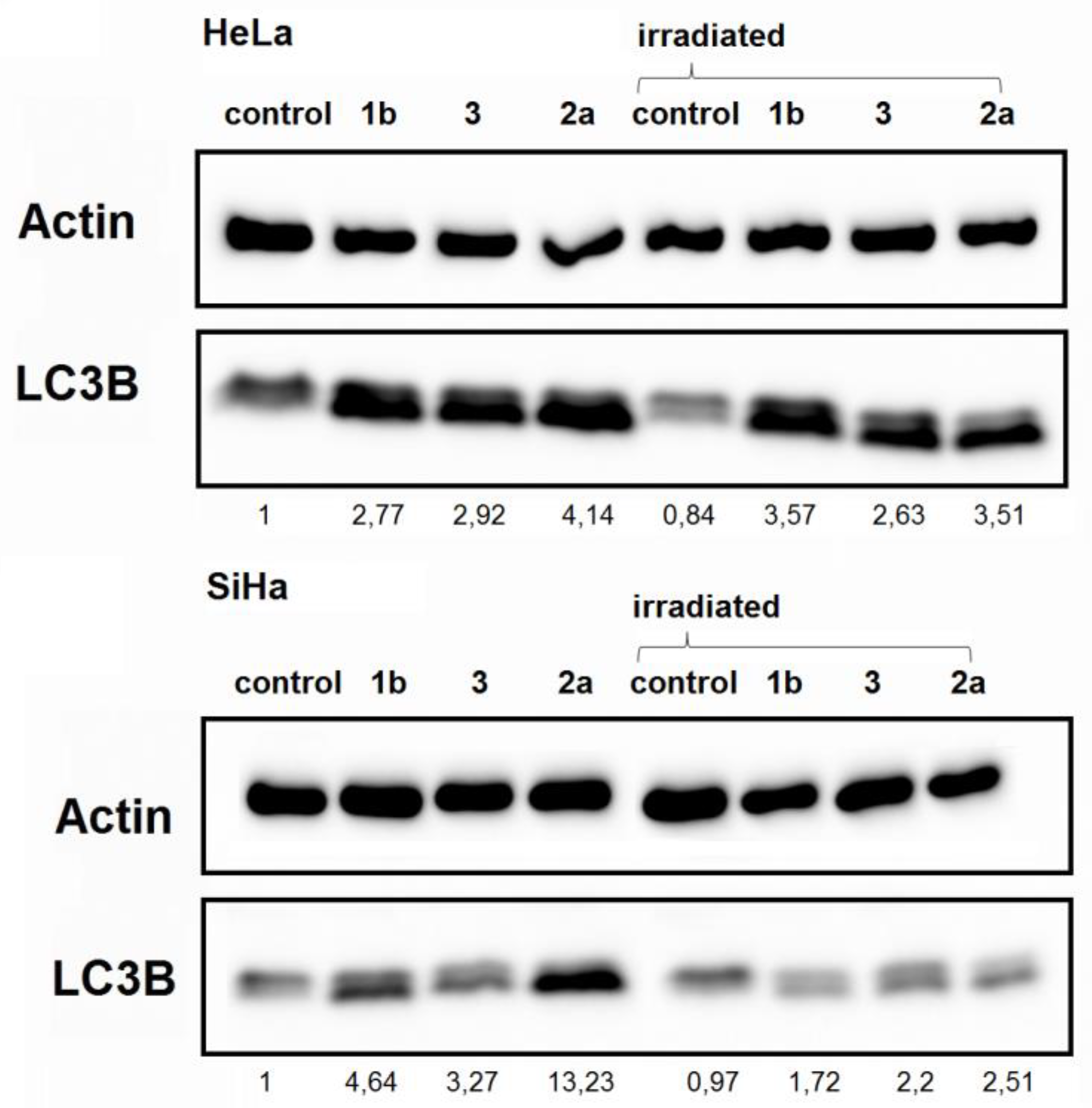 Applsci 10 03728 g007