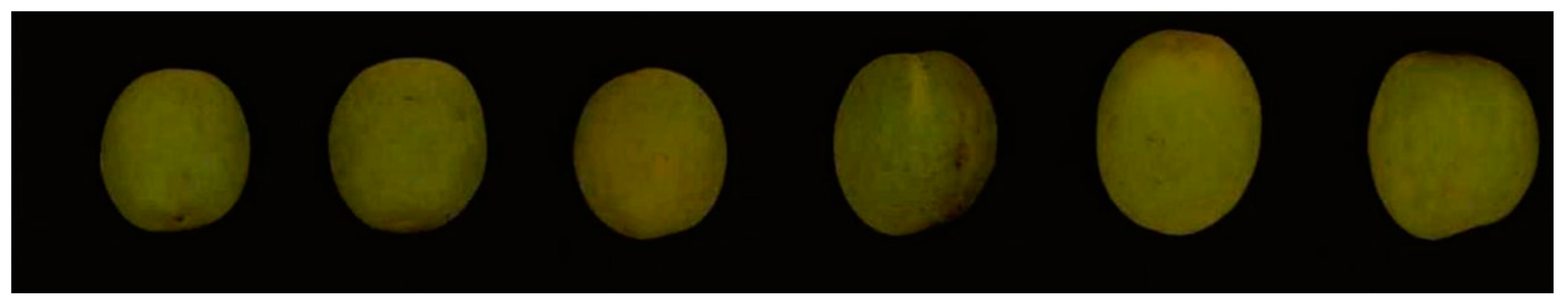 Applsci 10 03769 g002 Applsci 10 03769 g002