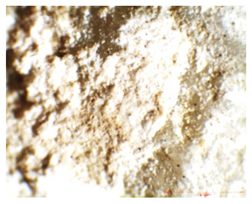 Applsci 10 03781 i002 Applsci 10 03781 i002