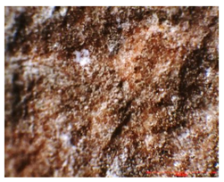 Applsci 10 03781 i004 Applsci 10 03781 i004