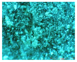 Applsci 10 03781 i006 Applsci 10 03781 i006