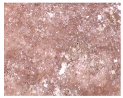 Applsci 10 03781 i010 Applsci 10 03781 i010