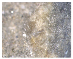 Applsci 10 03781 i012 Applsci 10 03781 i012