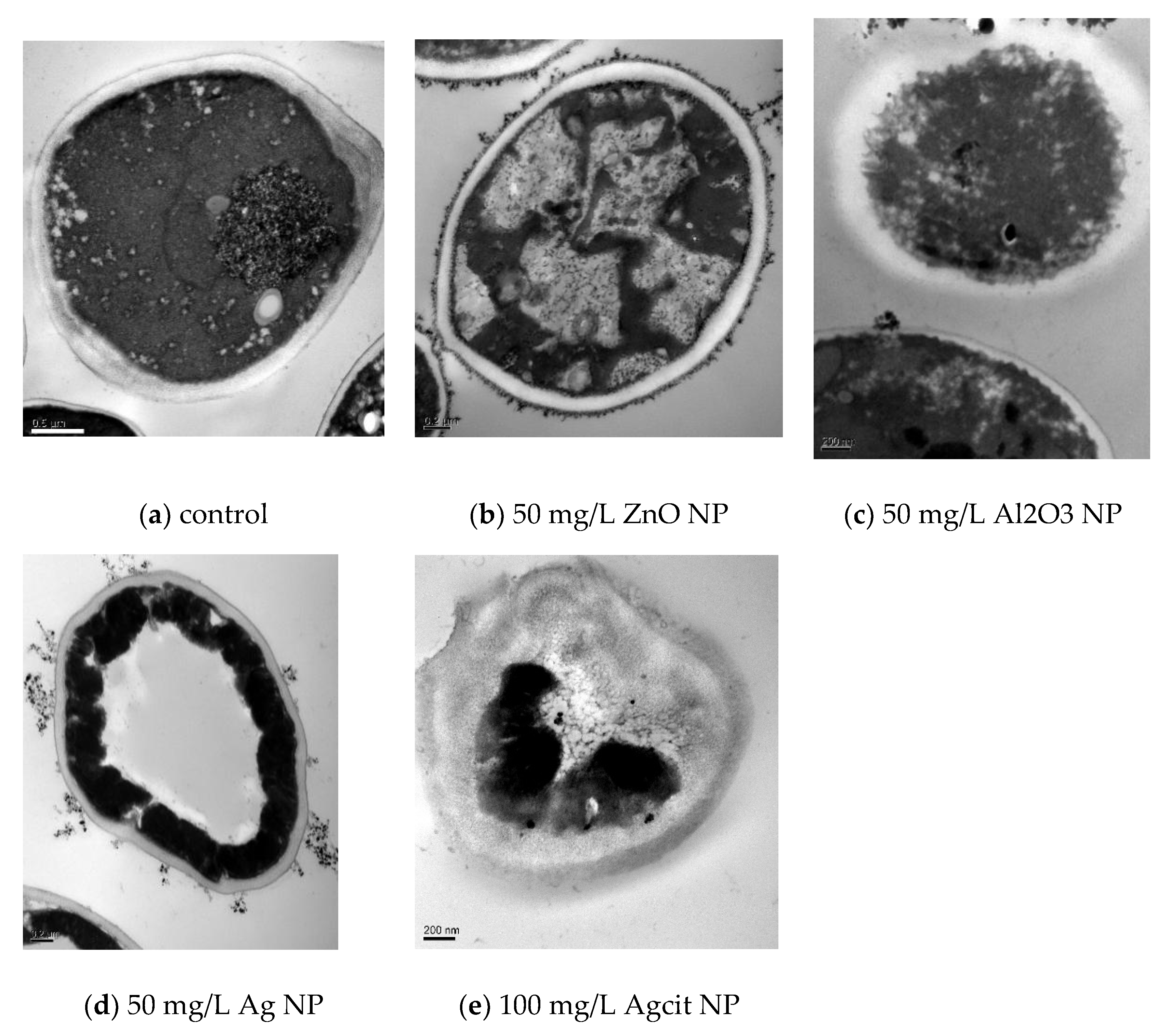 Applsci 10 03796 g003