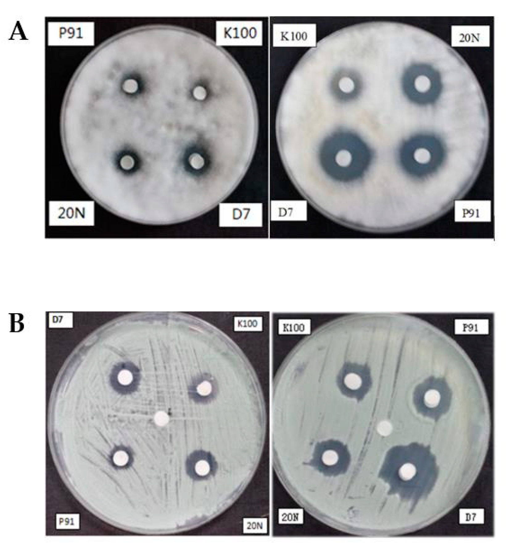 Applsci 10 03797 g005
