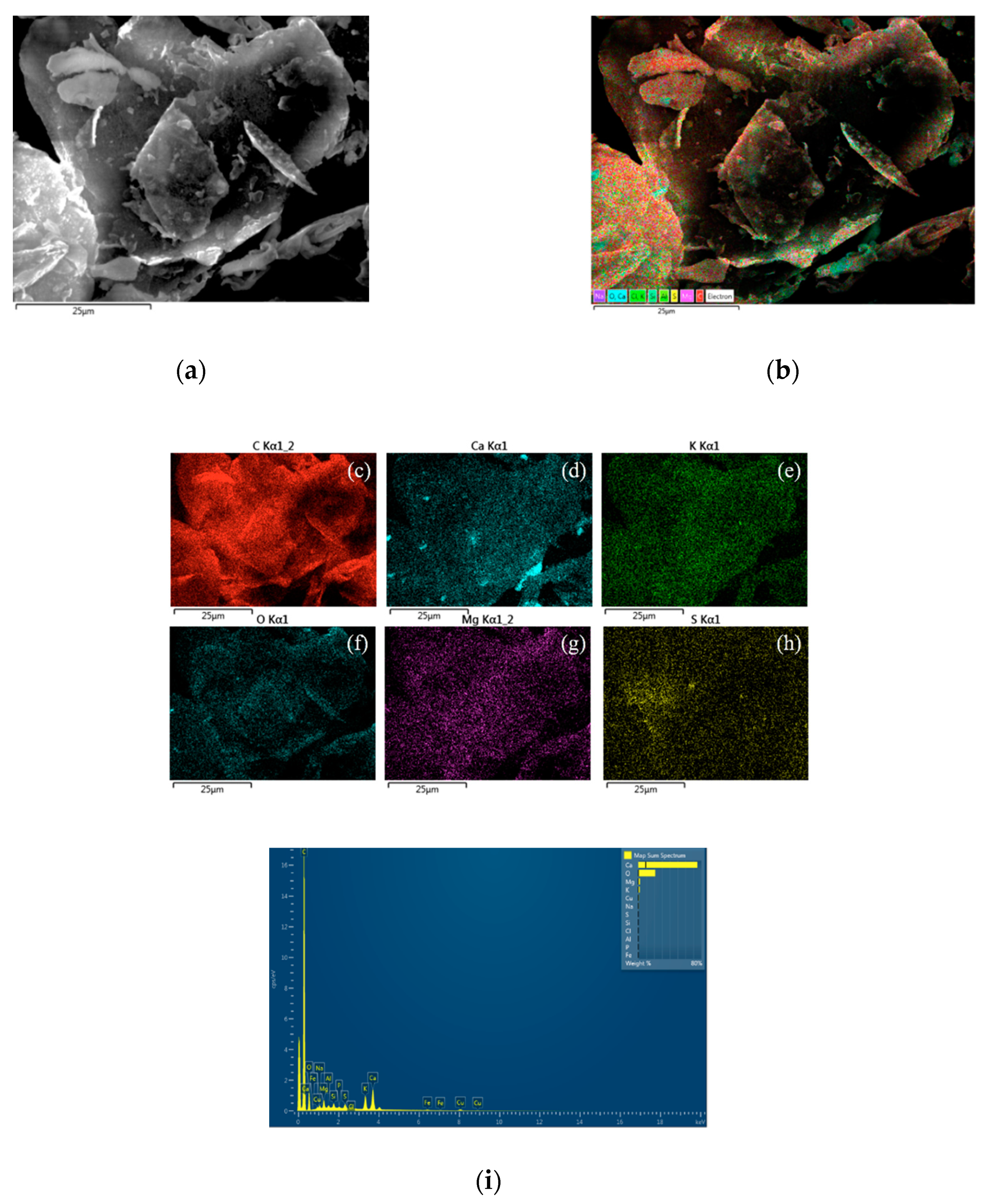 Applsci 10 03819 g001