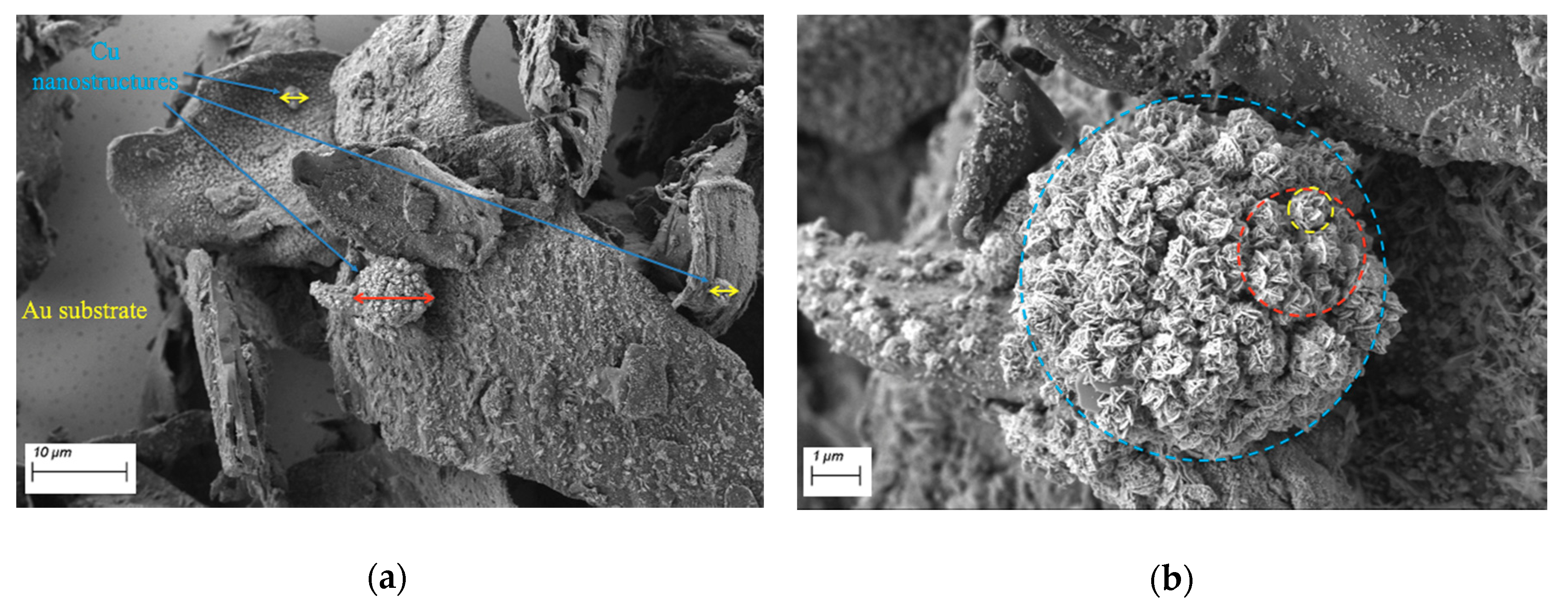 Applsci 10 03819 g002a