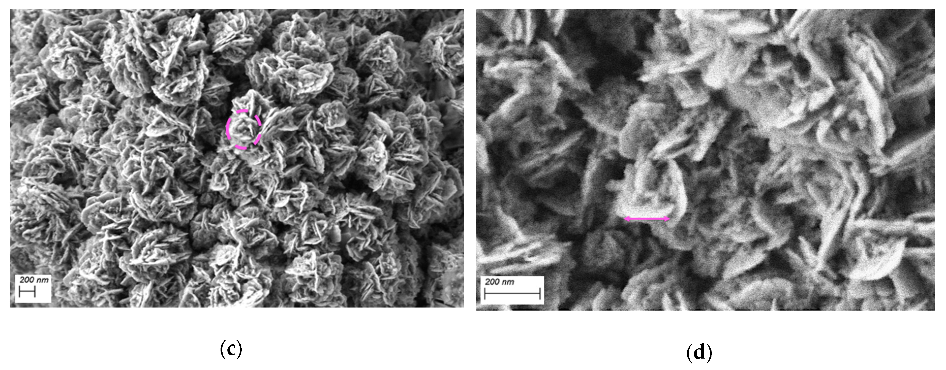 Applsci 10 03819 g002b