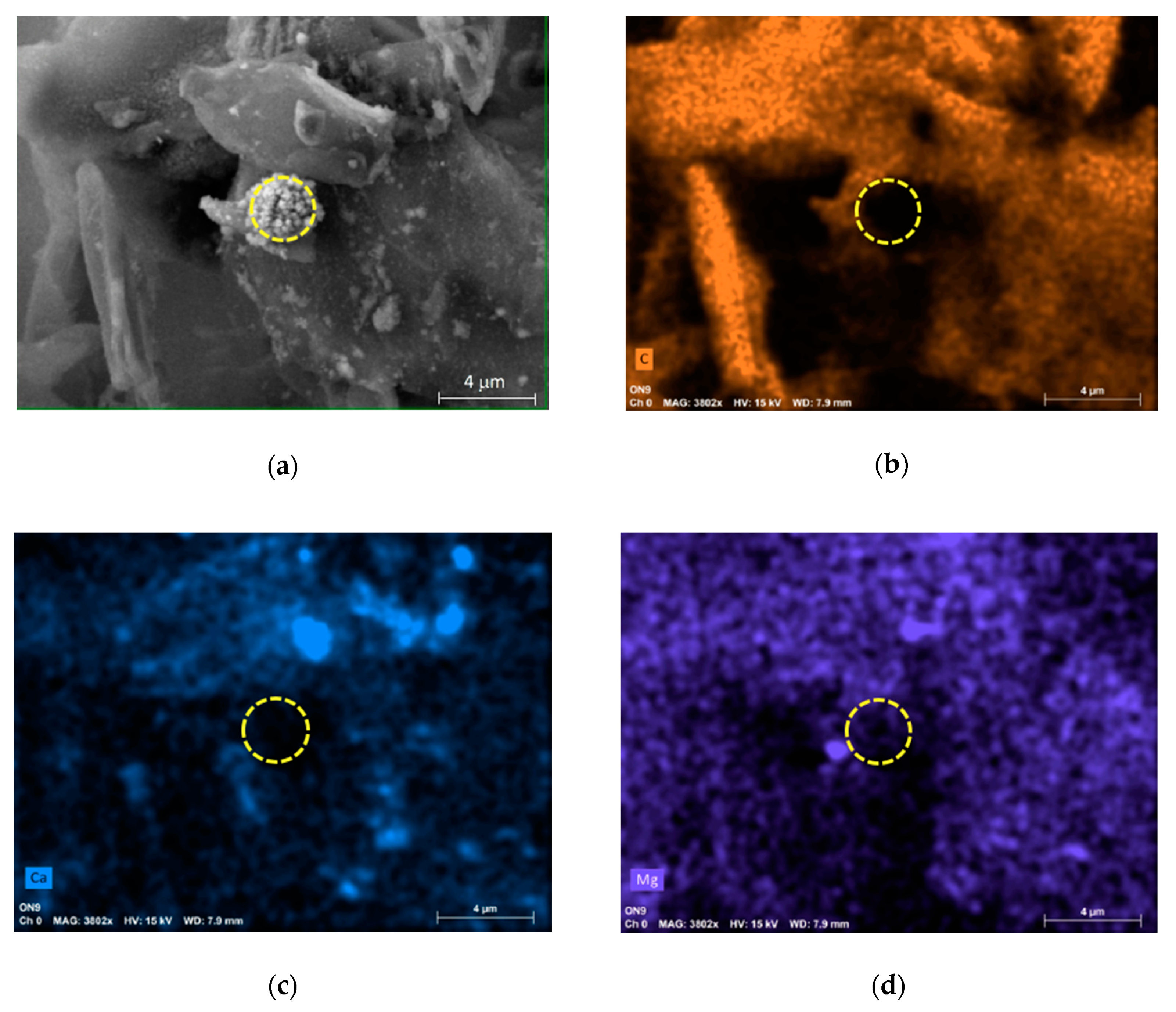 Applsci 10 03819 g003a