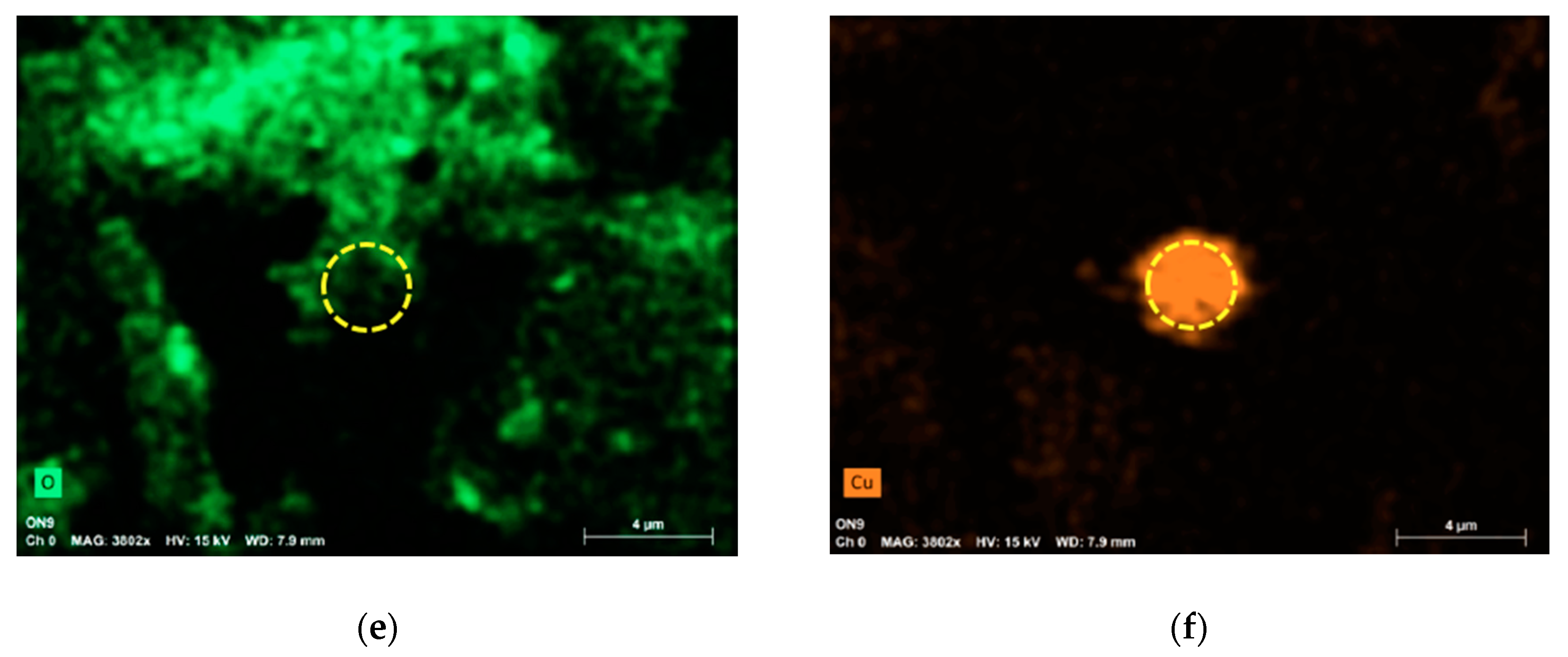 Applsci 10 03819 g003b