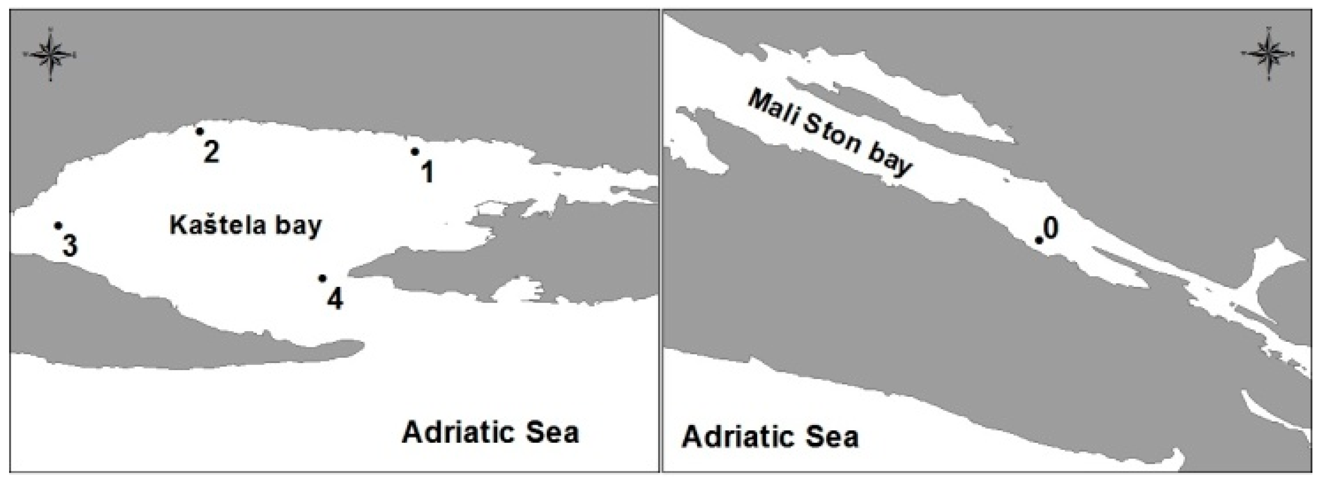 Applsci 10 03830 g001