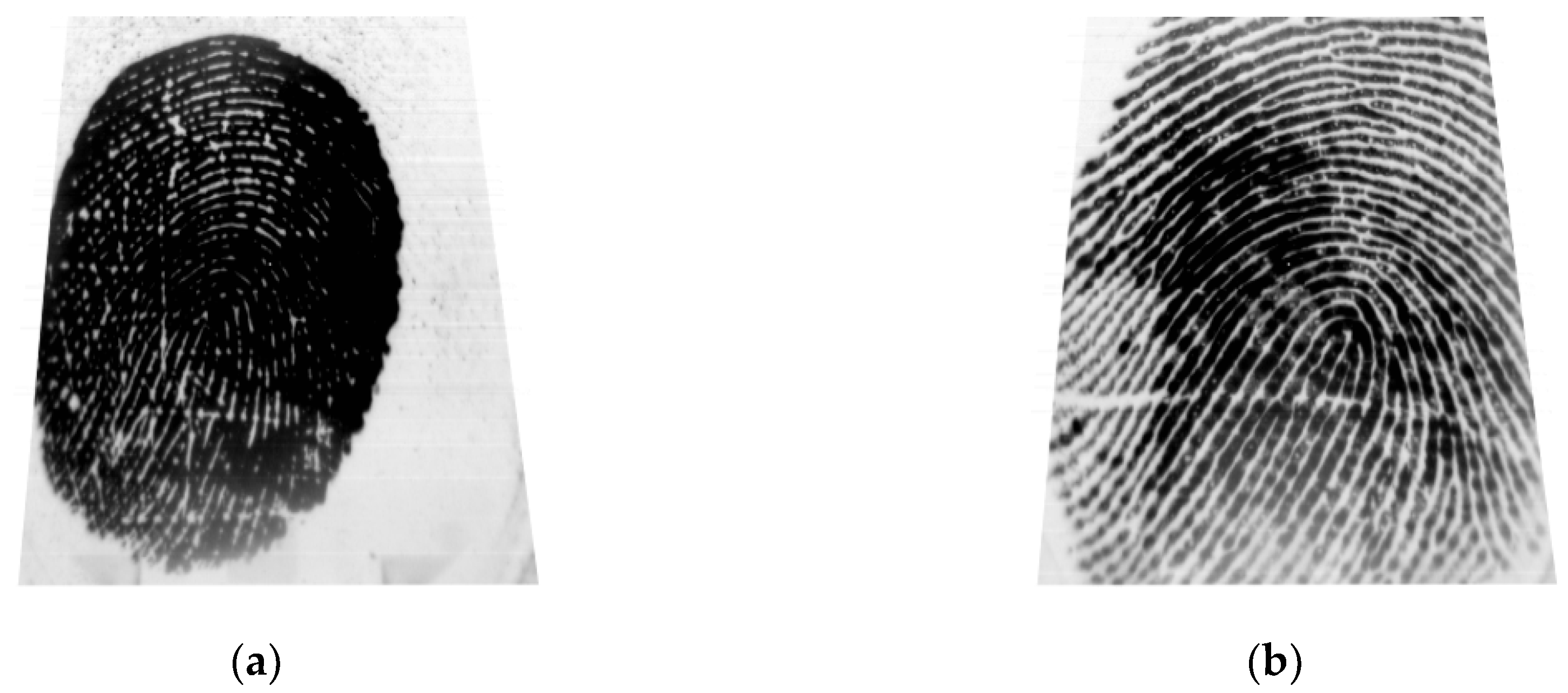 Applsci 10 03868 g005 Applsci 10 03868 g005