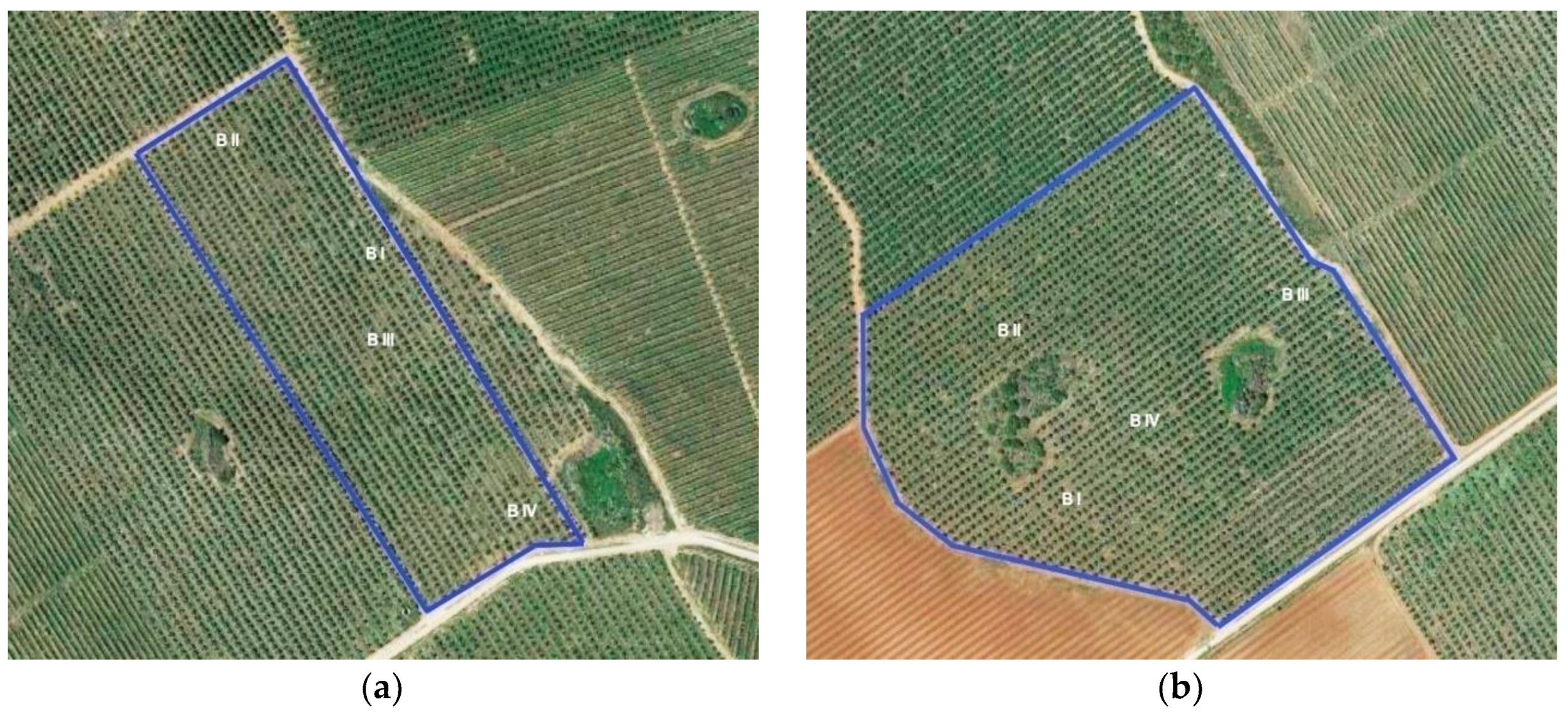 Applsci 10 03930 g001 Applsci 10 03930 g001