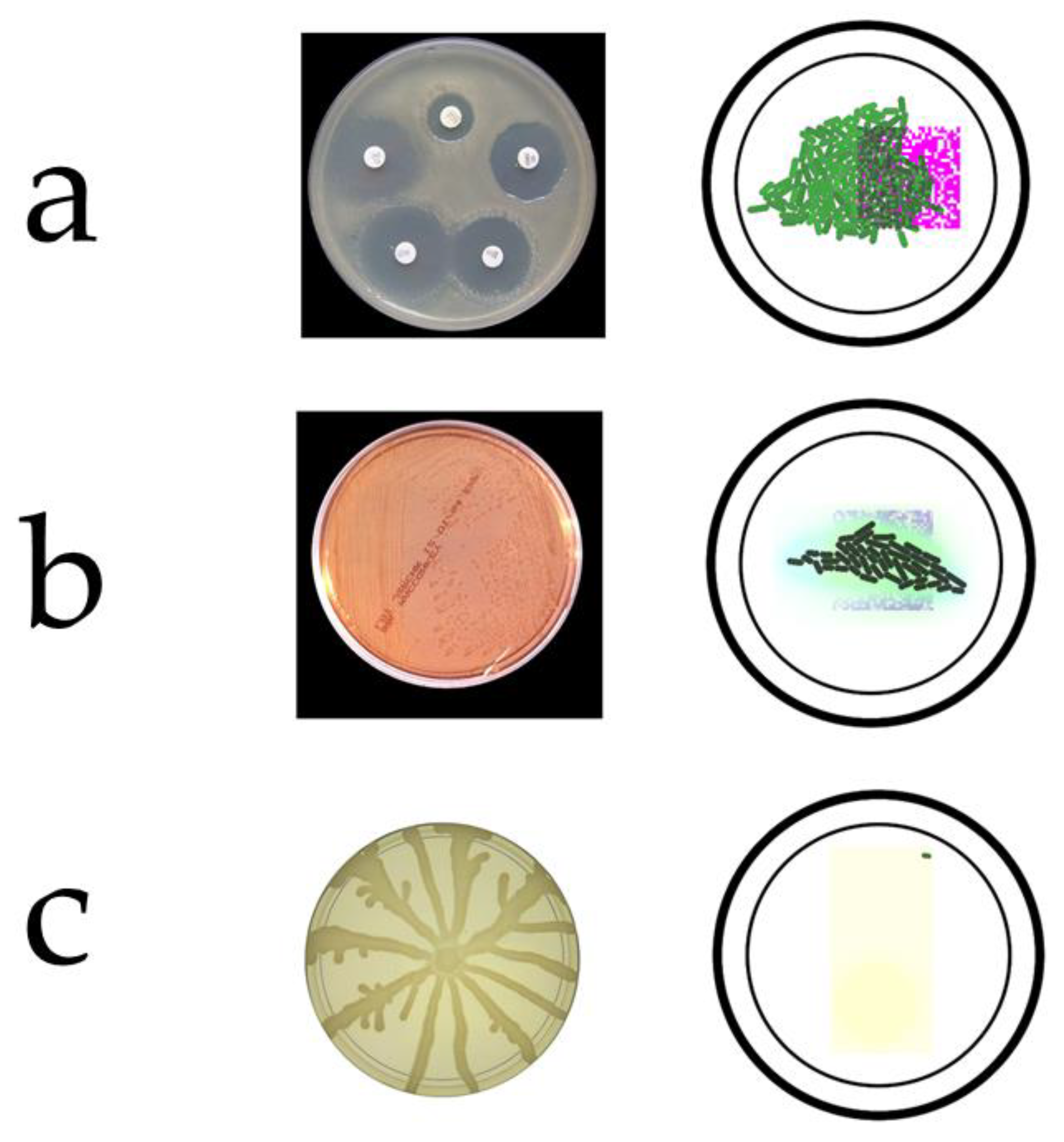 Applsci 10 03936 g003 Applsci 10 03936 g003