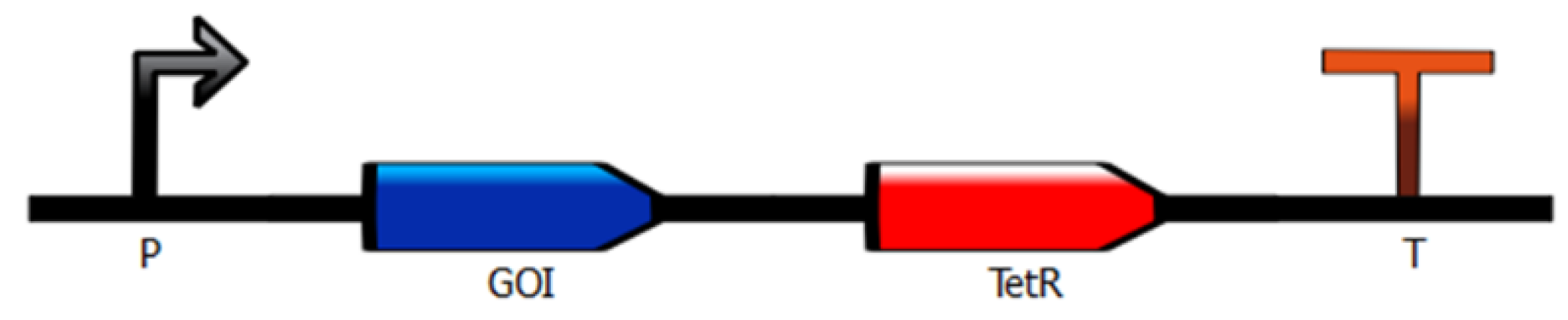 Applsci 10 03936 g004 Applsci 10 03936 g004