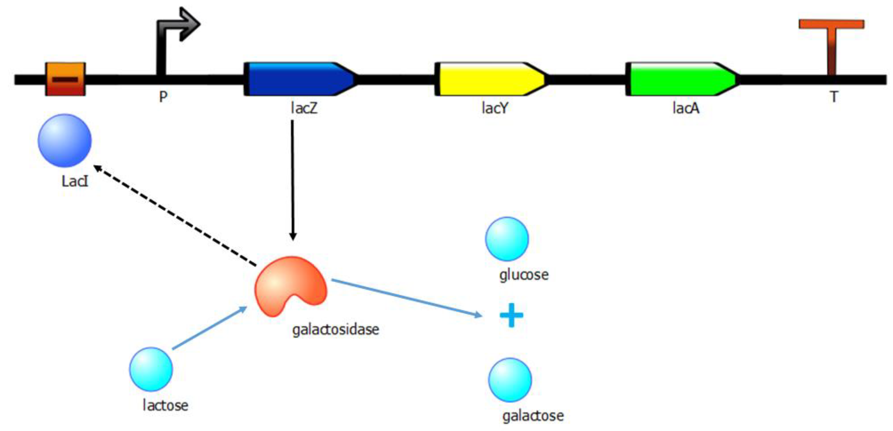 Applsci 10 03936 g005 Applsci 10 03936 g005