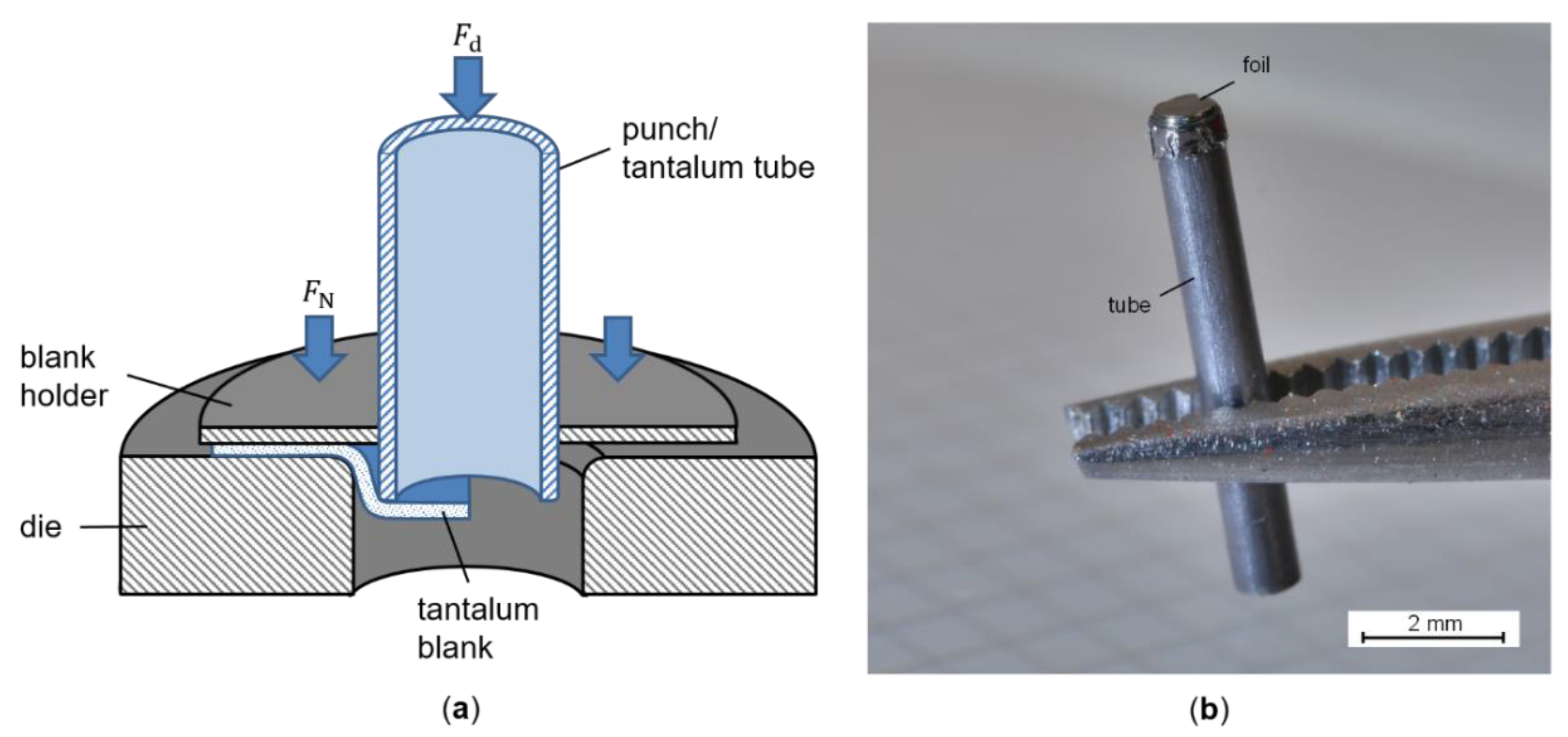 Applsci 10 03951 g002