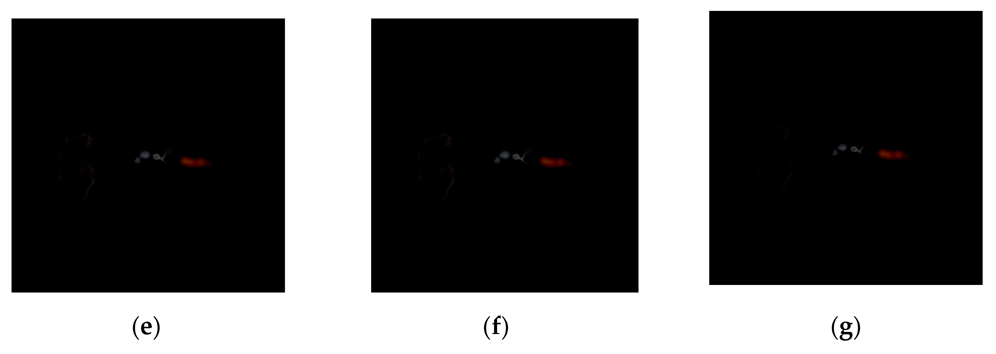 Applsci 10 03952 g001b