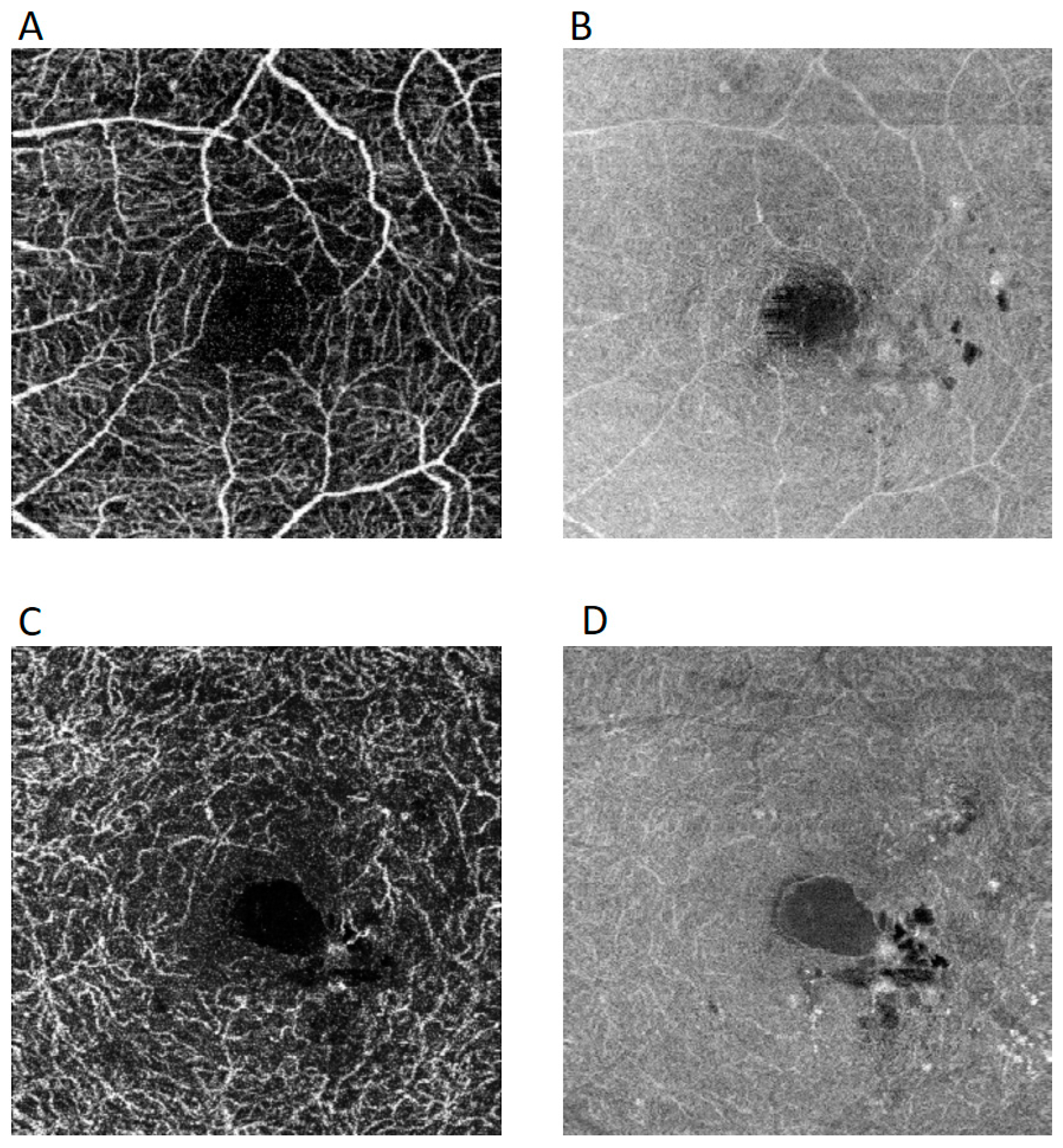 Applsci 10 03994 g001