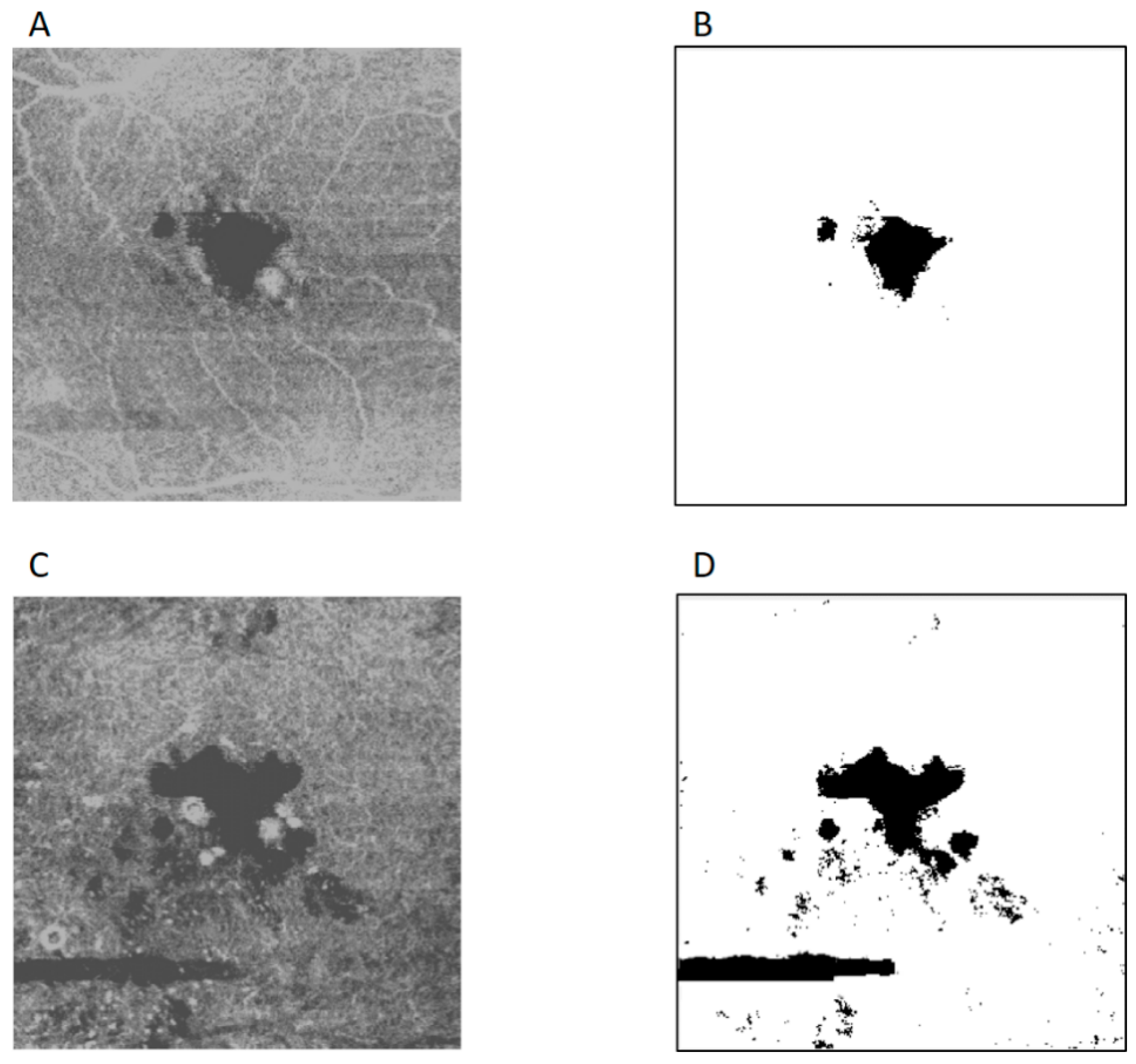 Applsci 10 03994 g003